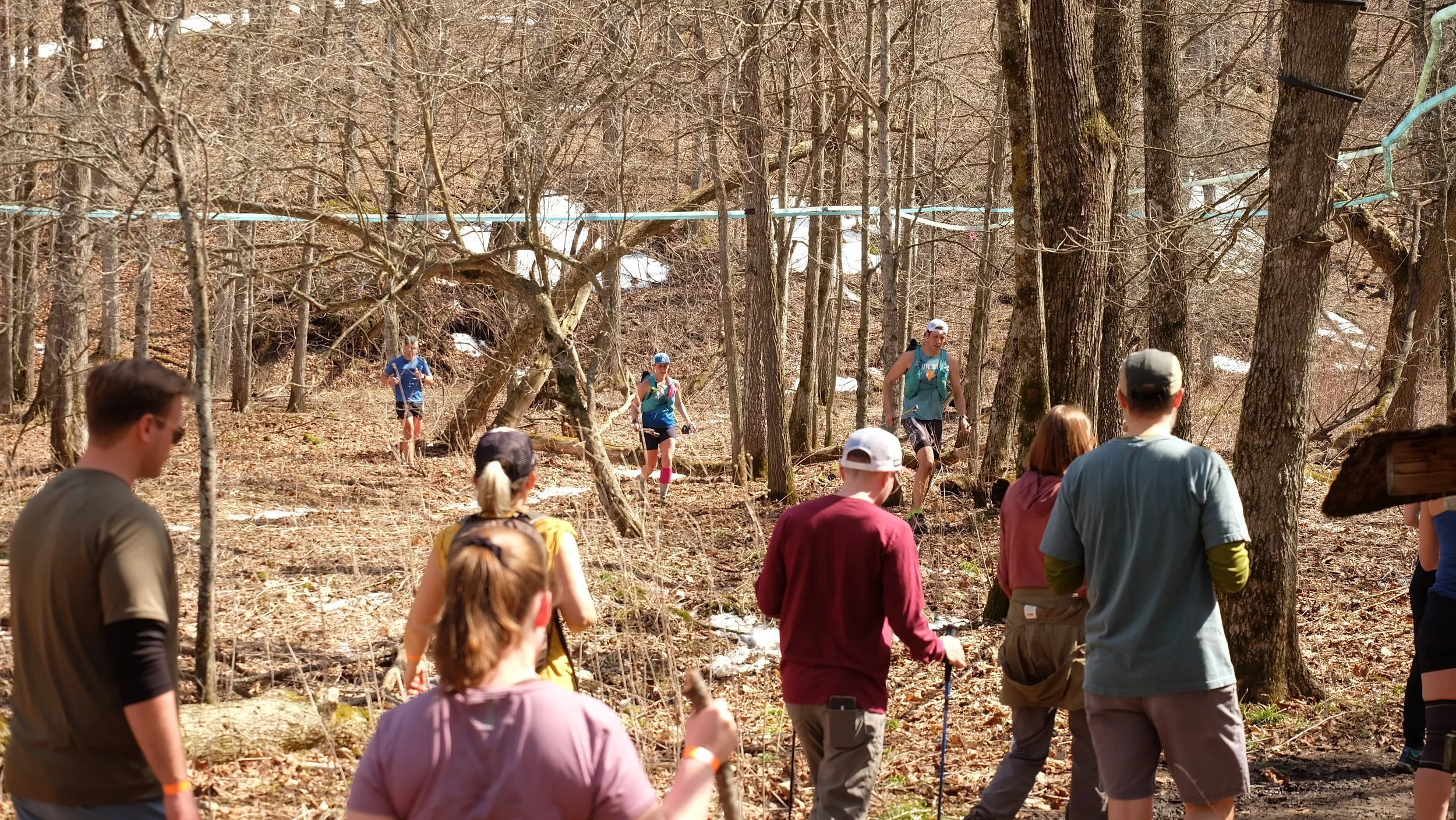 Embark Maple Energy Sap Run Scramble 2026 (5).JPG