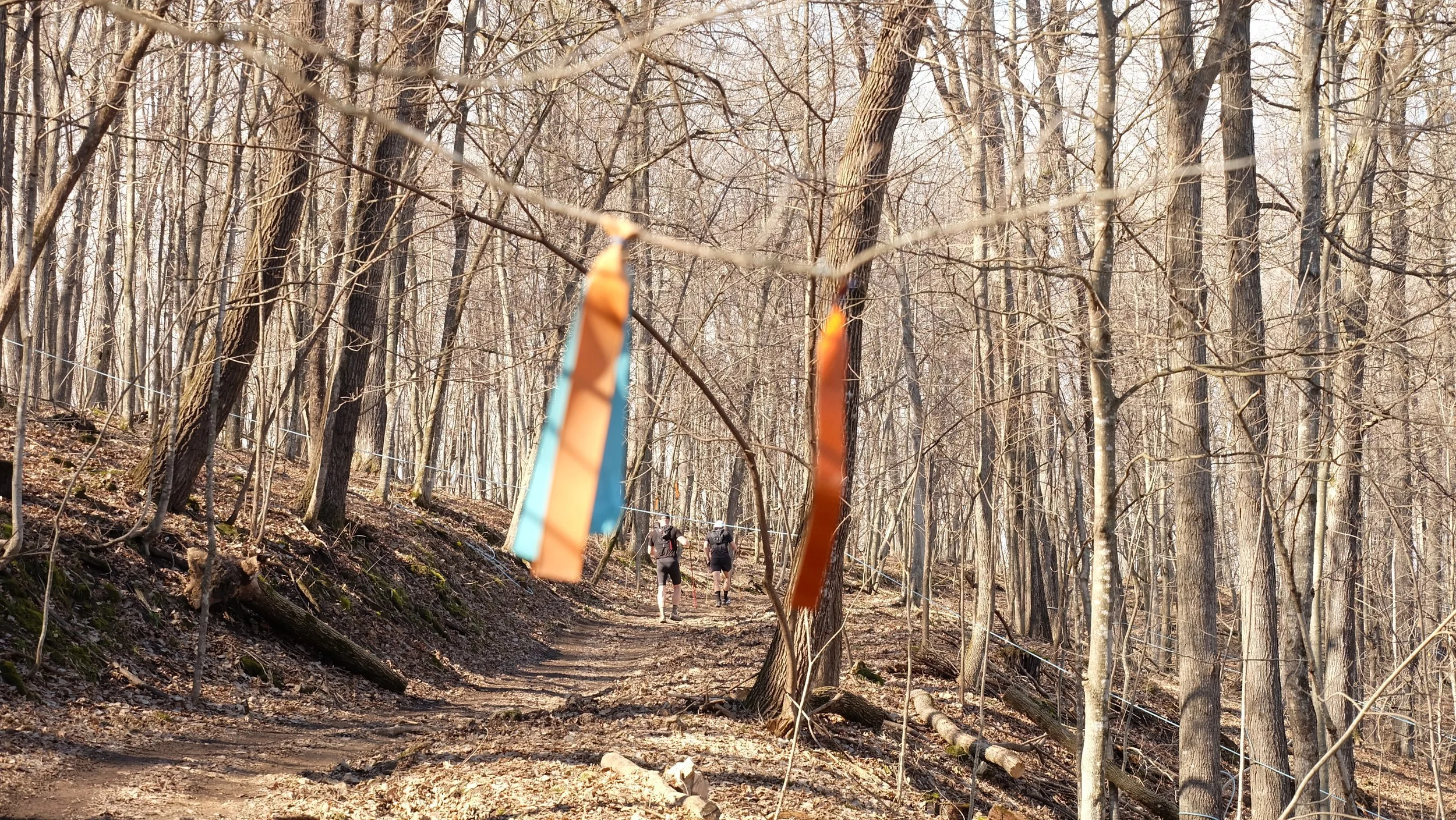 Embark Maple Energy Sap Run Scramble 2026 (68).JPG