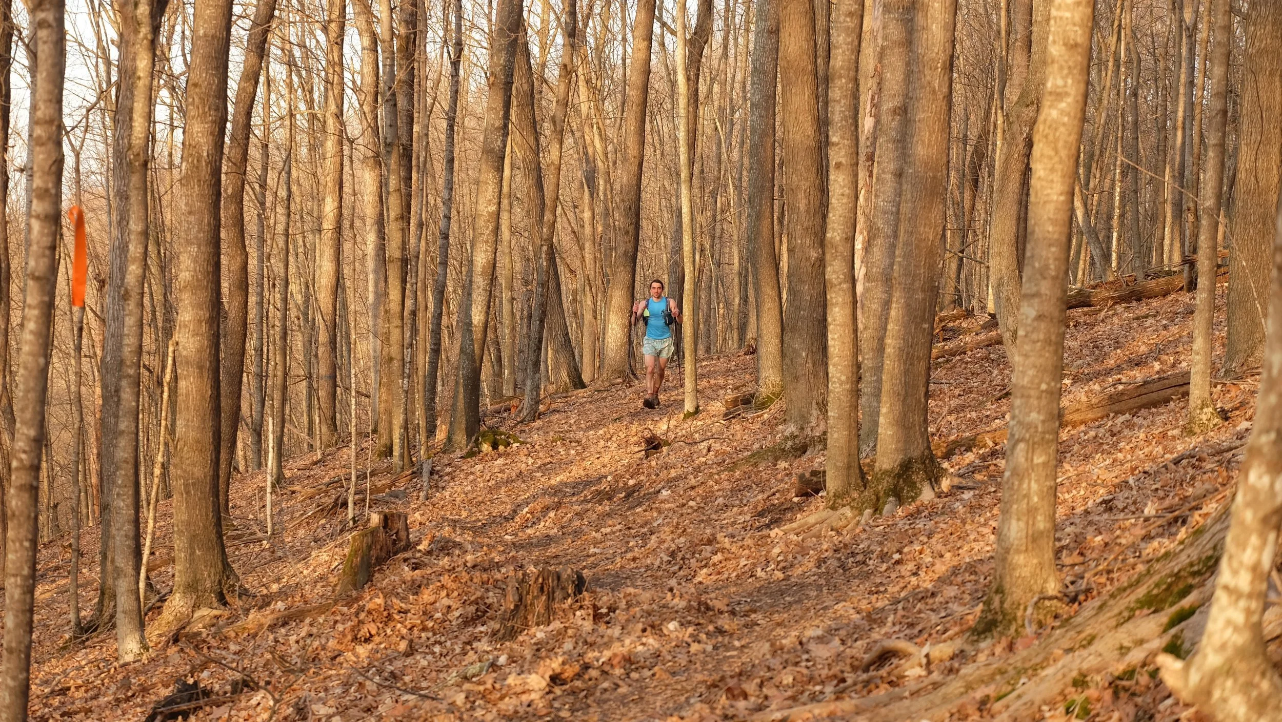 Embark Maple Energy Sap Run Scramble 2026 (72).JPG