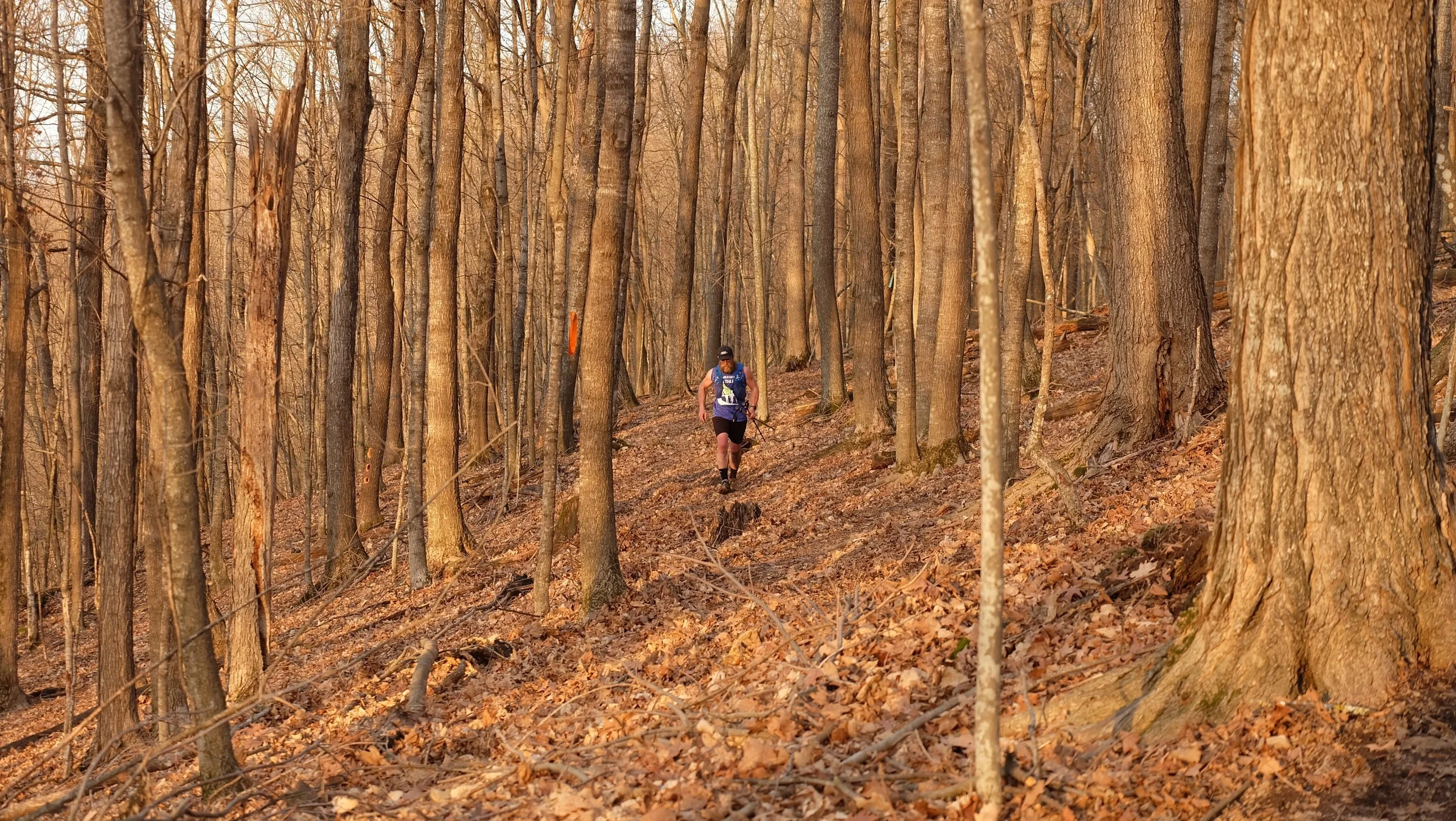 Embark Maple Energy Sap Run Scramble 2026 (75).JPG