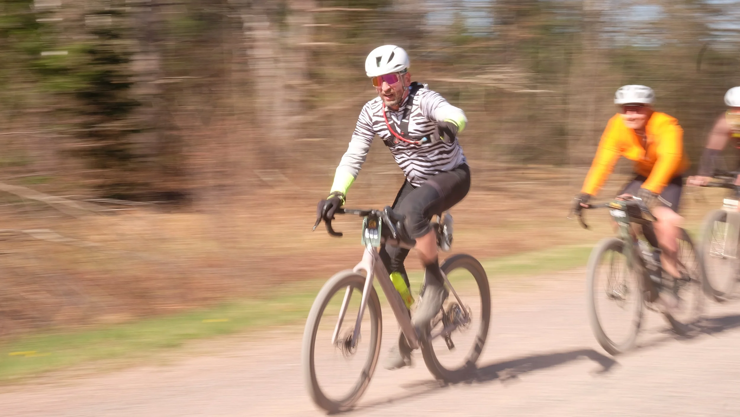 Embark Maple Energy Hungry Bear 2026 (27).JPG