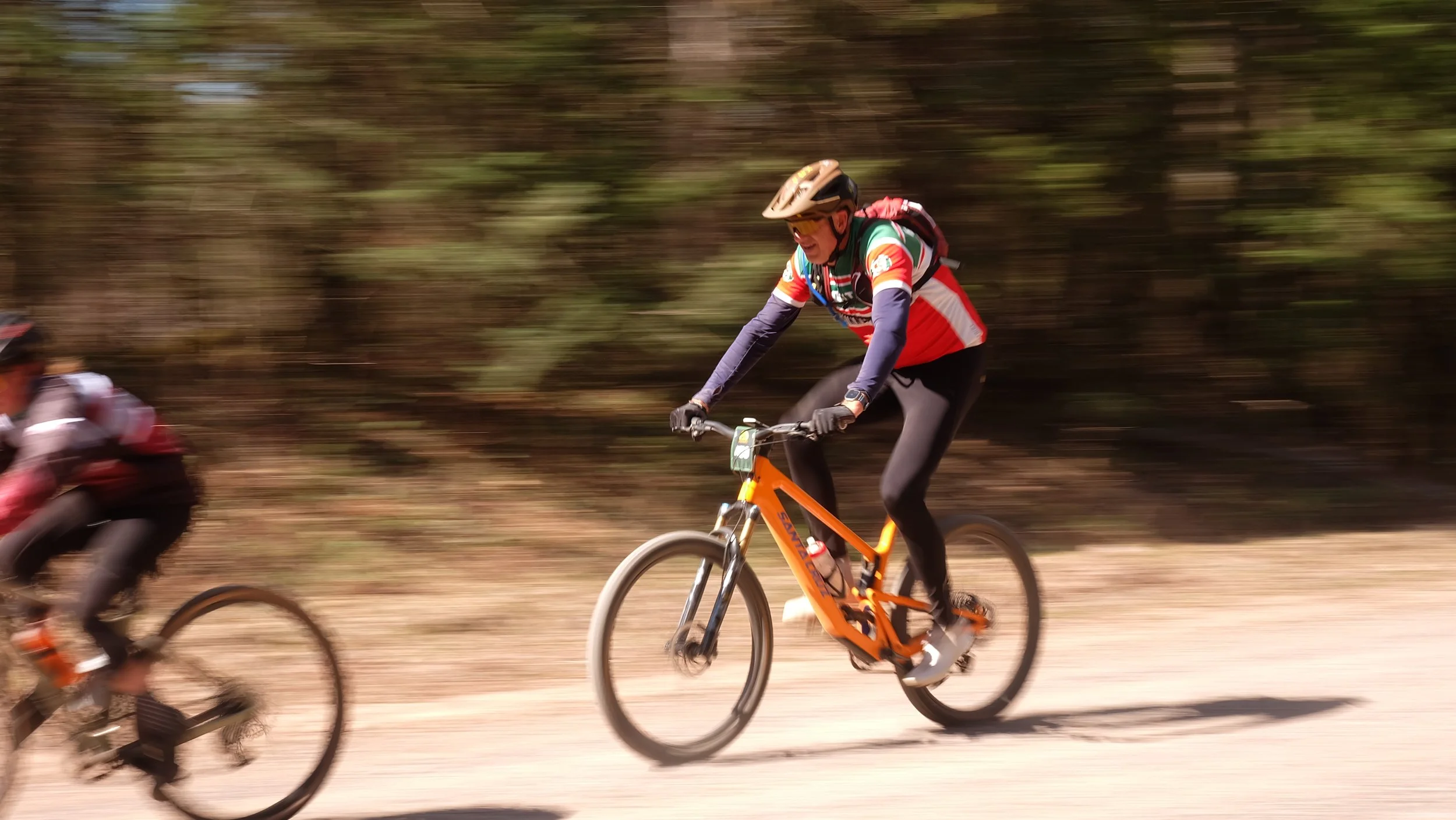 Embark Maple Energy Hungry Bear 2026 (180).JPG