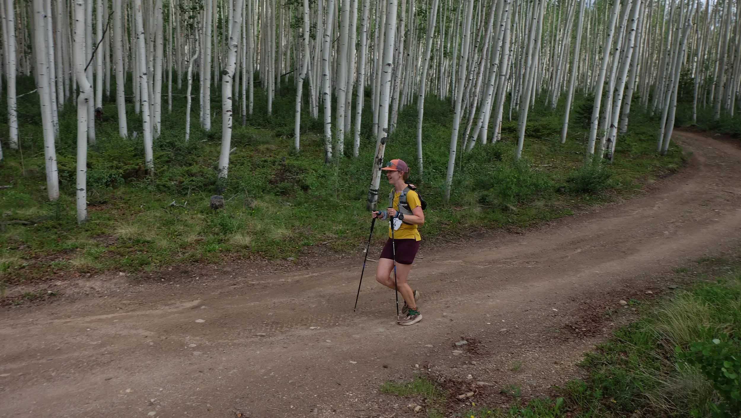 10095.webp