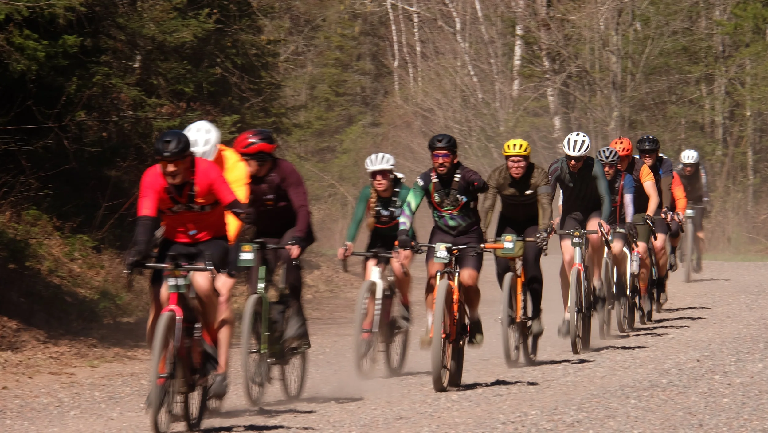 Embark Maple Energy Hungry Bear 2026 (103).JPG