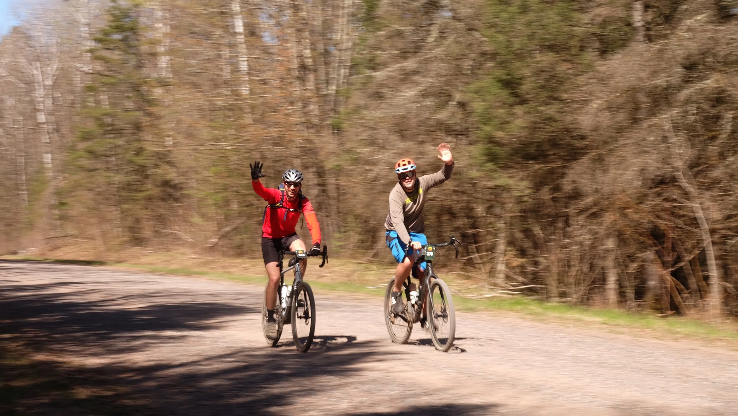 Embark Maple Energy Hungry Bear 2026 (247).JPG