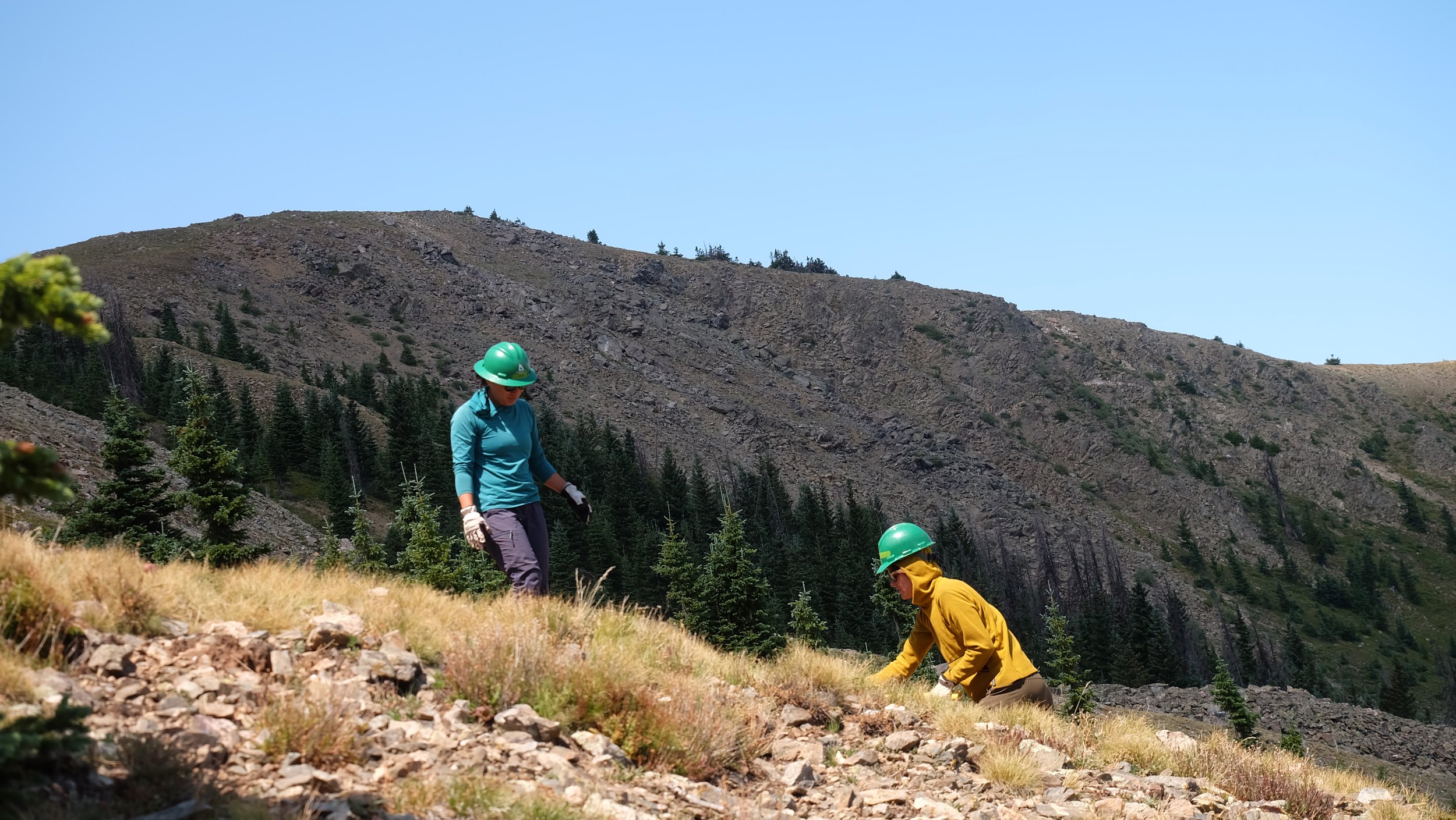 2026 Colorado Trail Foundation CTR Embark Maple Energy (18).JPG