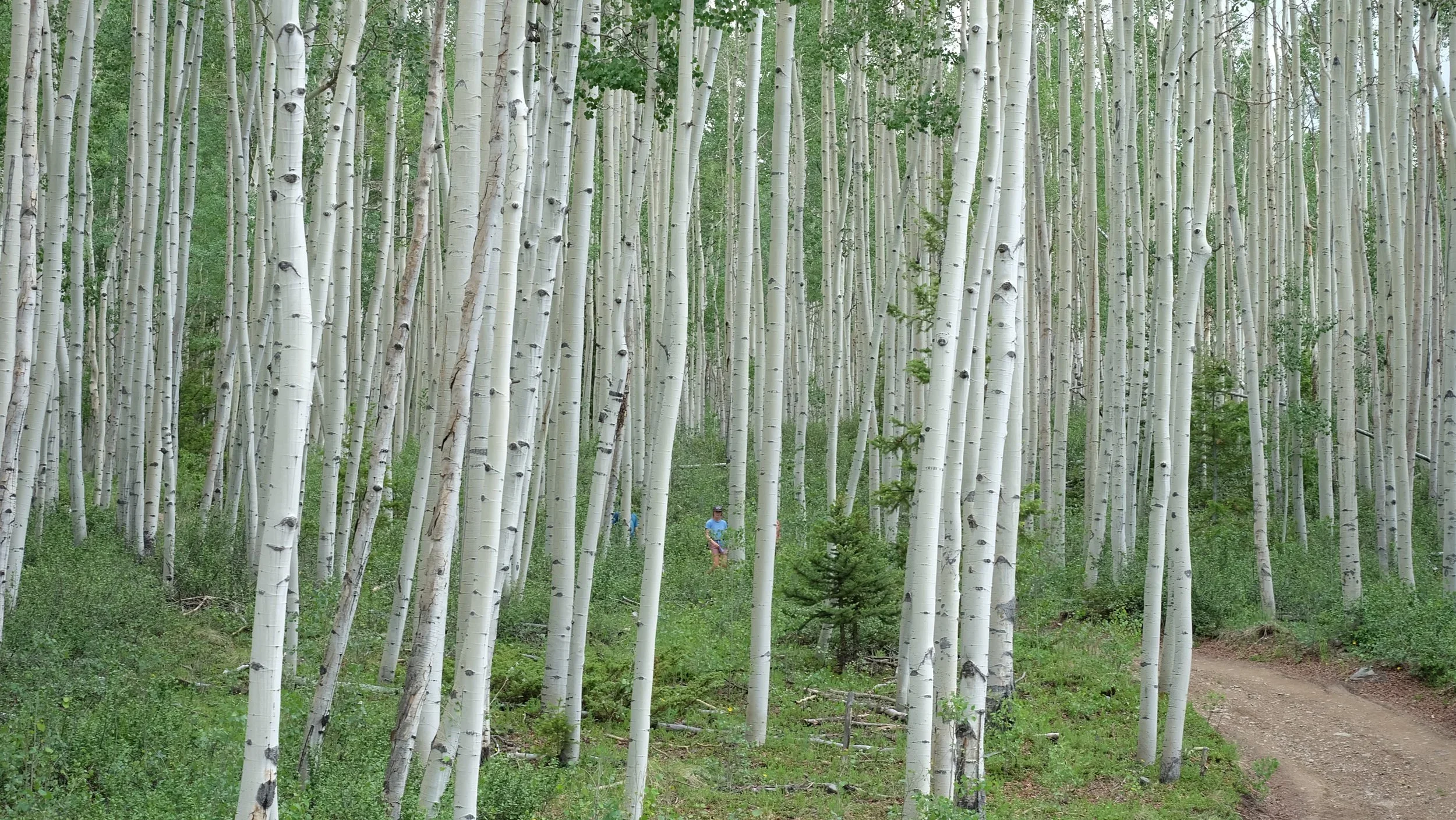 10160.webp