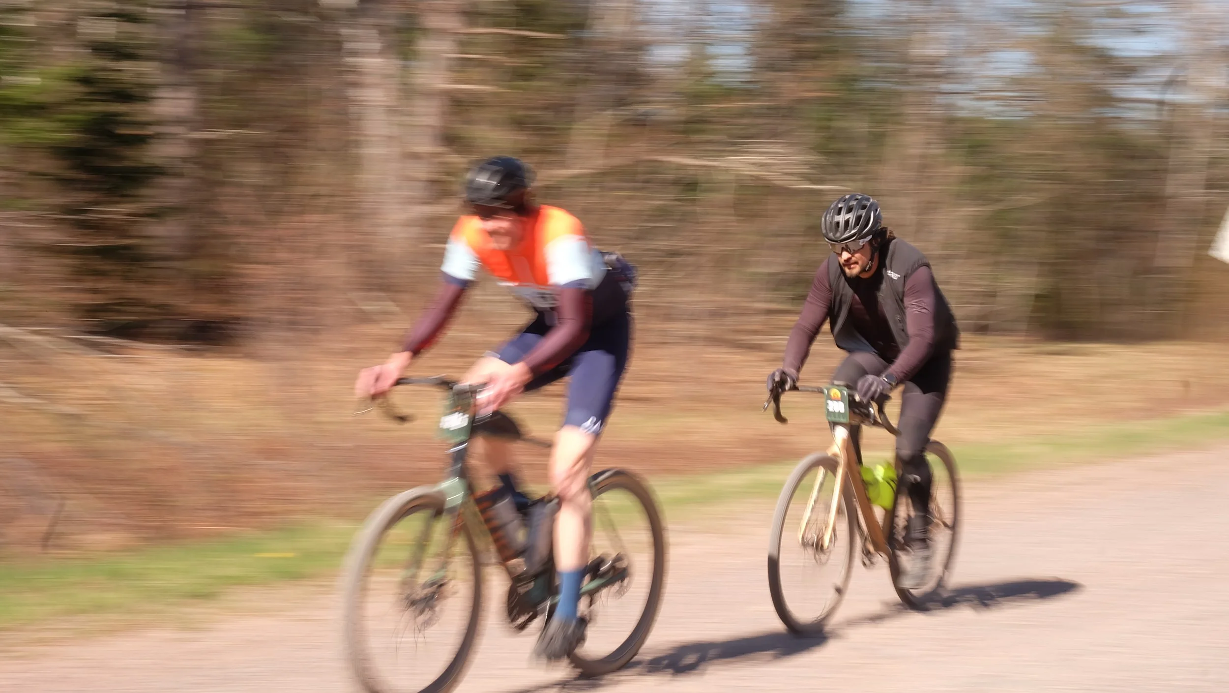Embark Maple Energy Hungry Bear 2026 (35).JPG