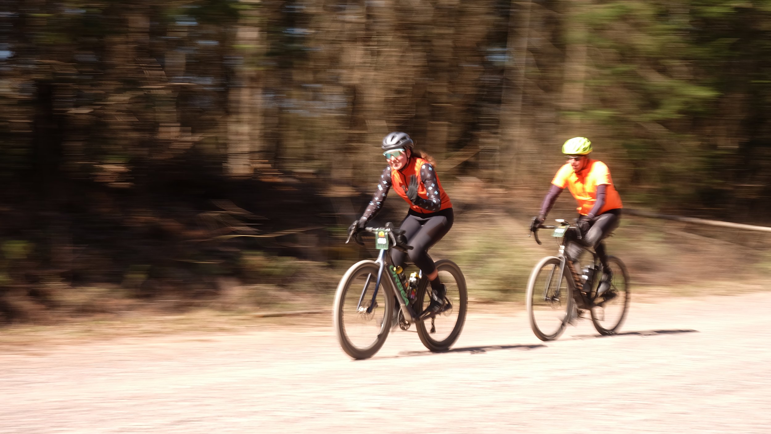 Embark Maple Energy Hungry Bear 2026 (165).JPG