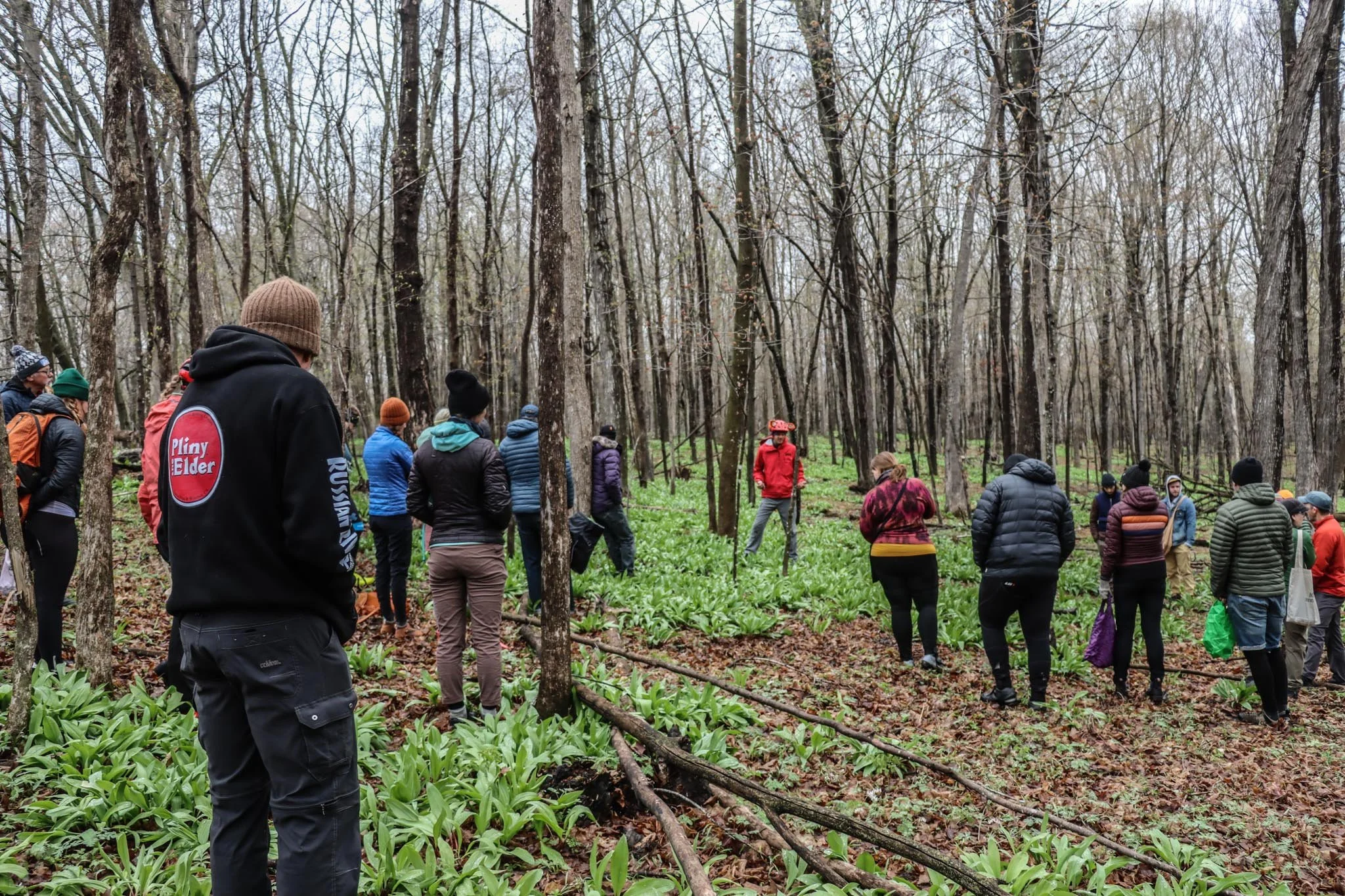 Ramp romp group foraging.jpg