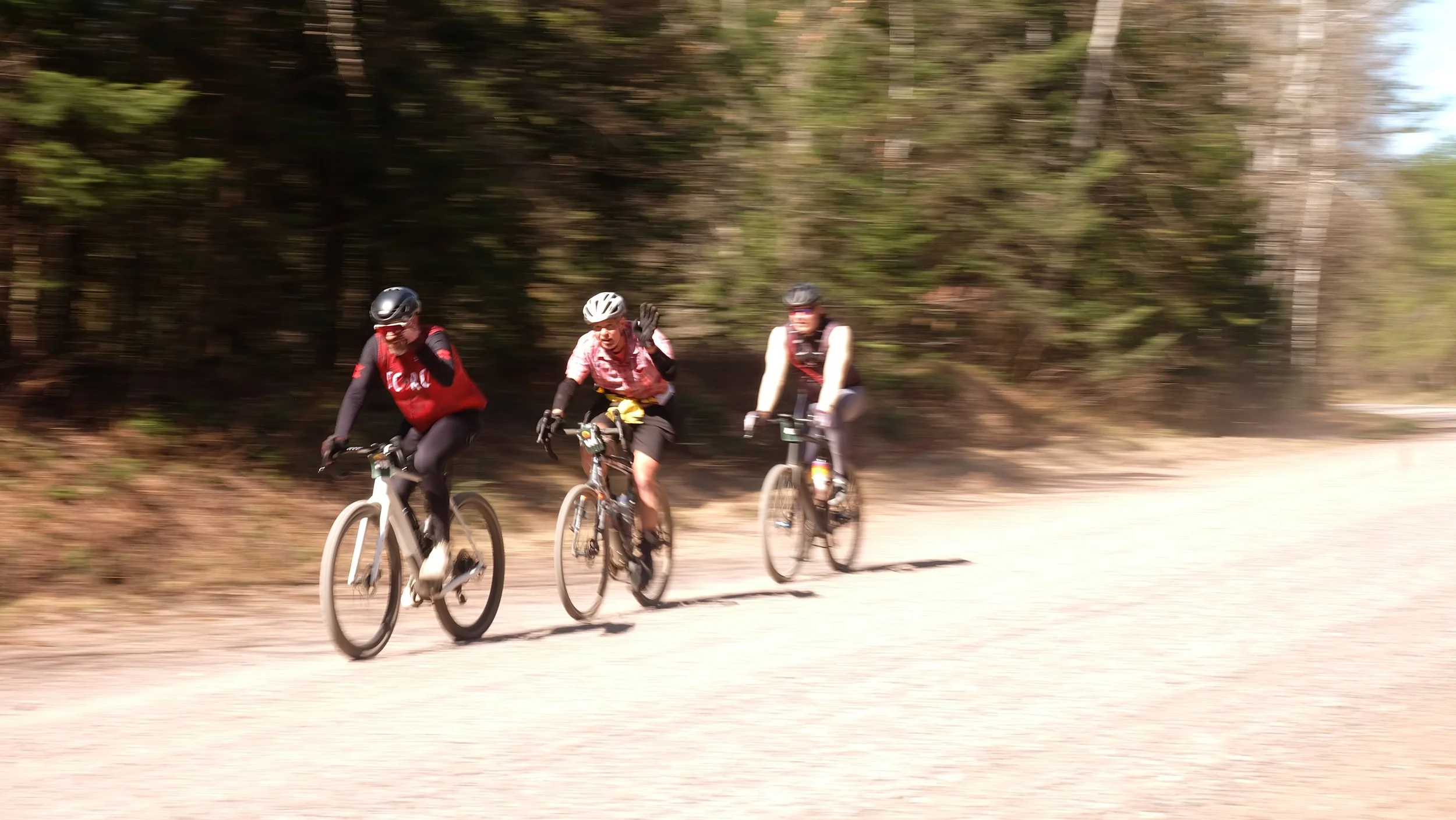 Embark Maple Energy Hungry Bear 2026 (173).JPG