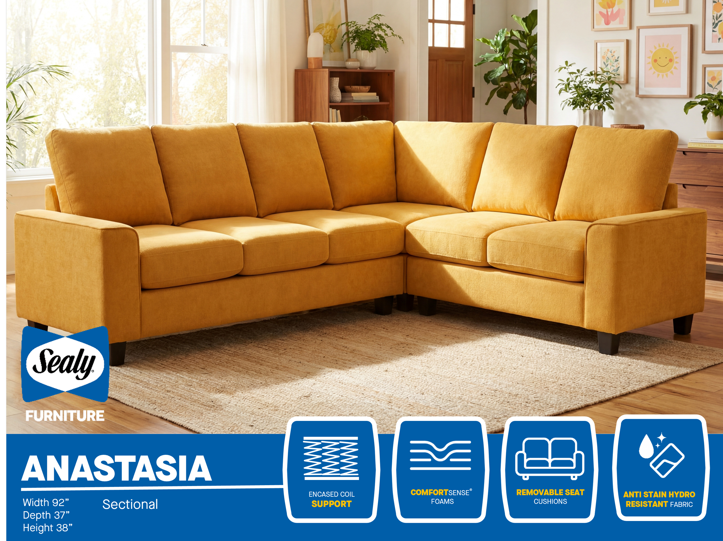 Anastasia Features_2.png