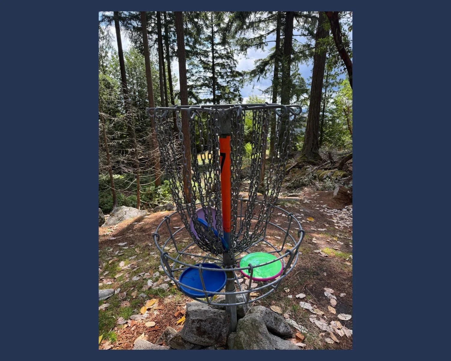 We played a game of disc golf after our lesson.