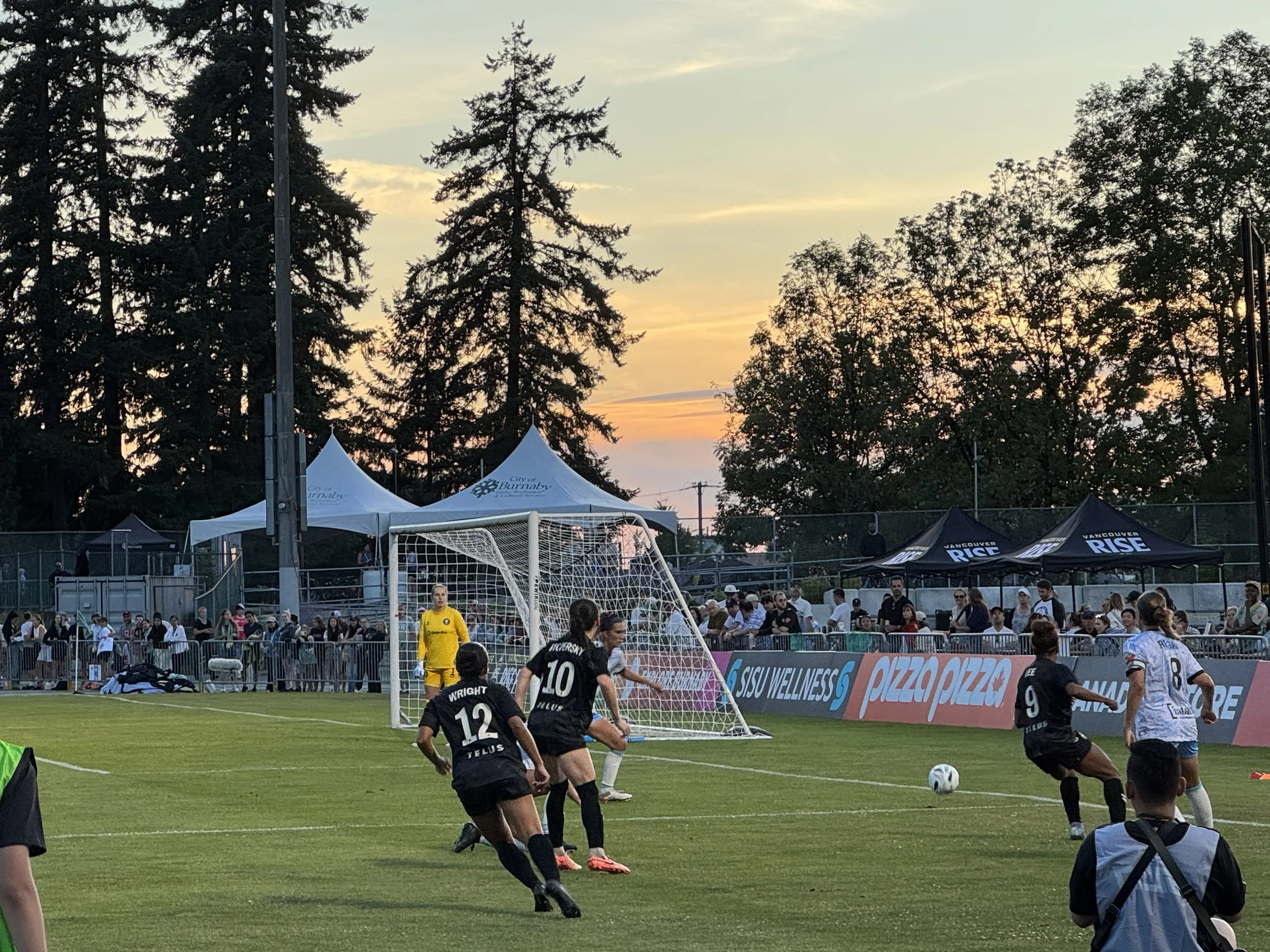 Vancouver Rise "bark at the park" dog friendly game