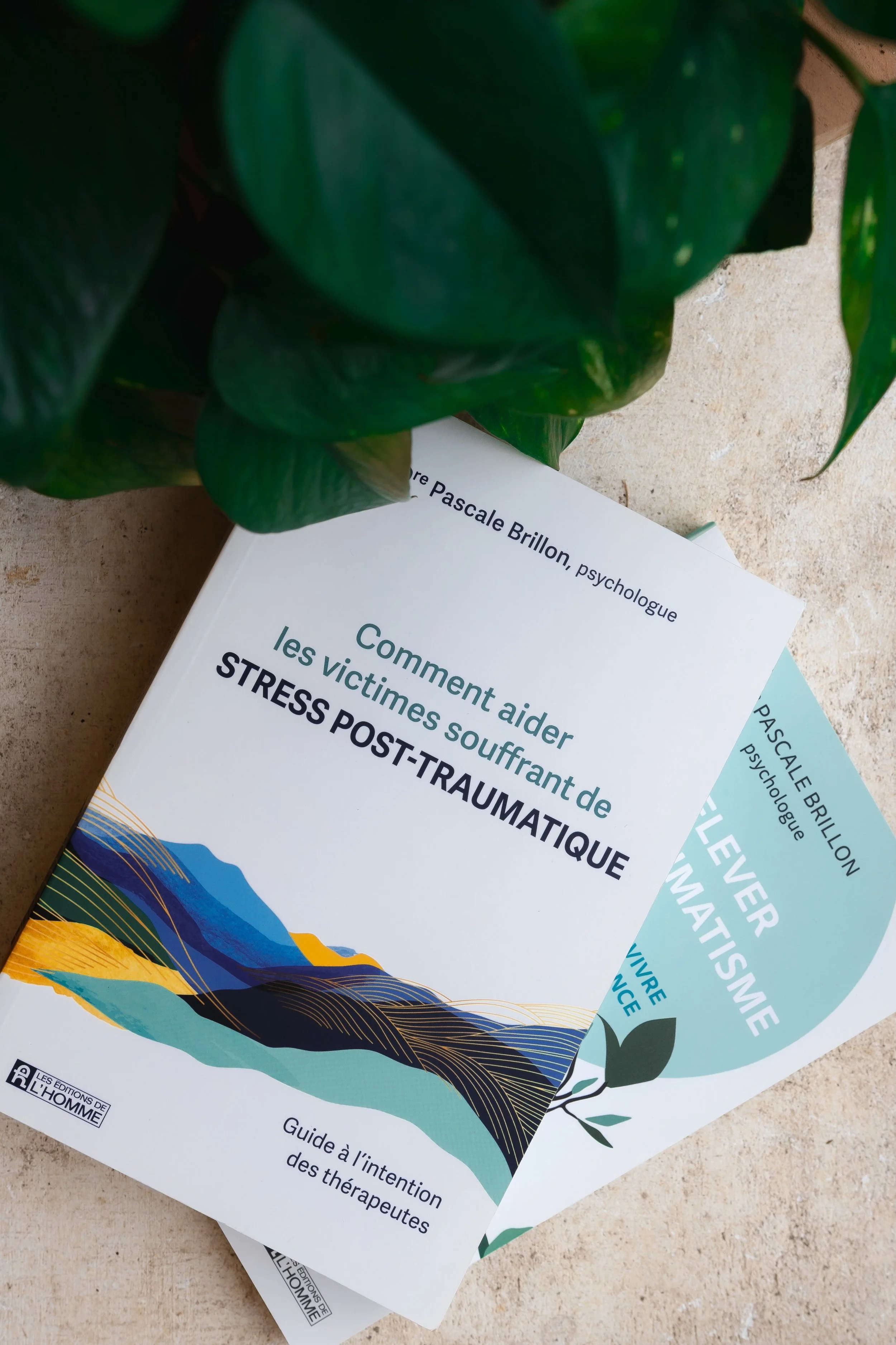 Quels troubles peuvent amener à consulter ? 