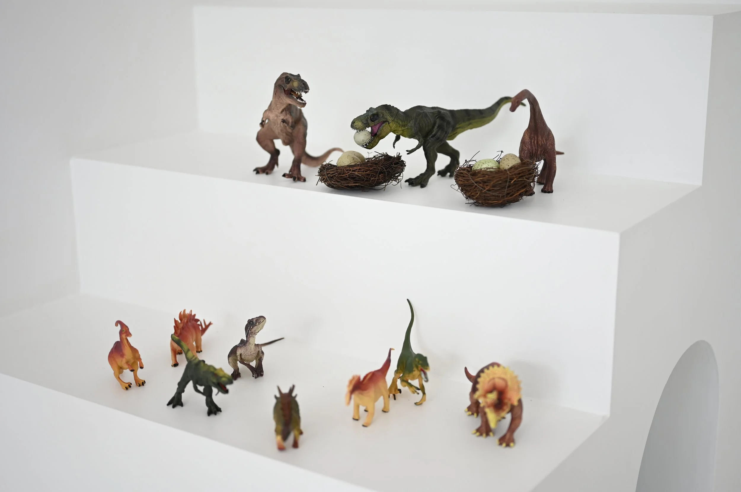 Dinosaur Set