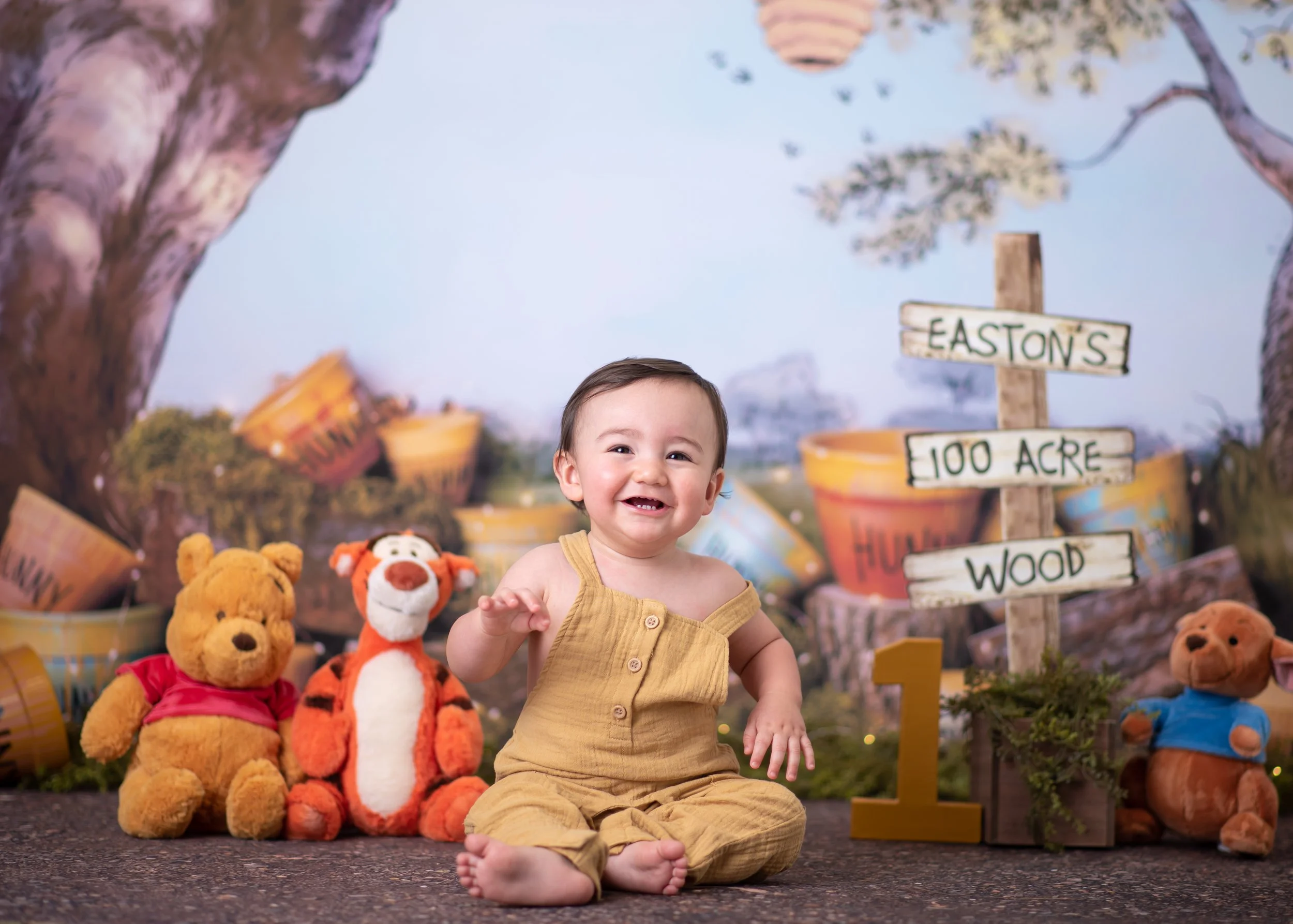 Winnie the Pooh