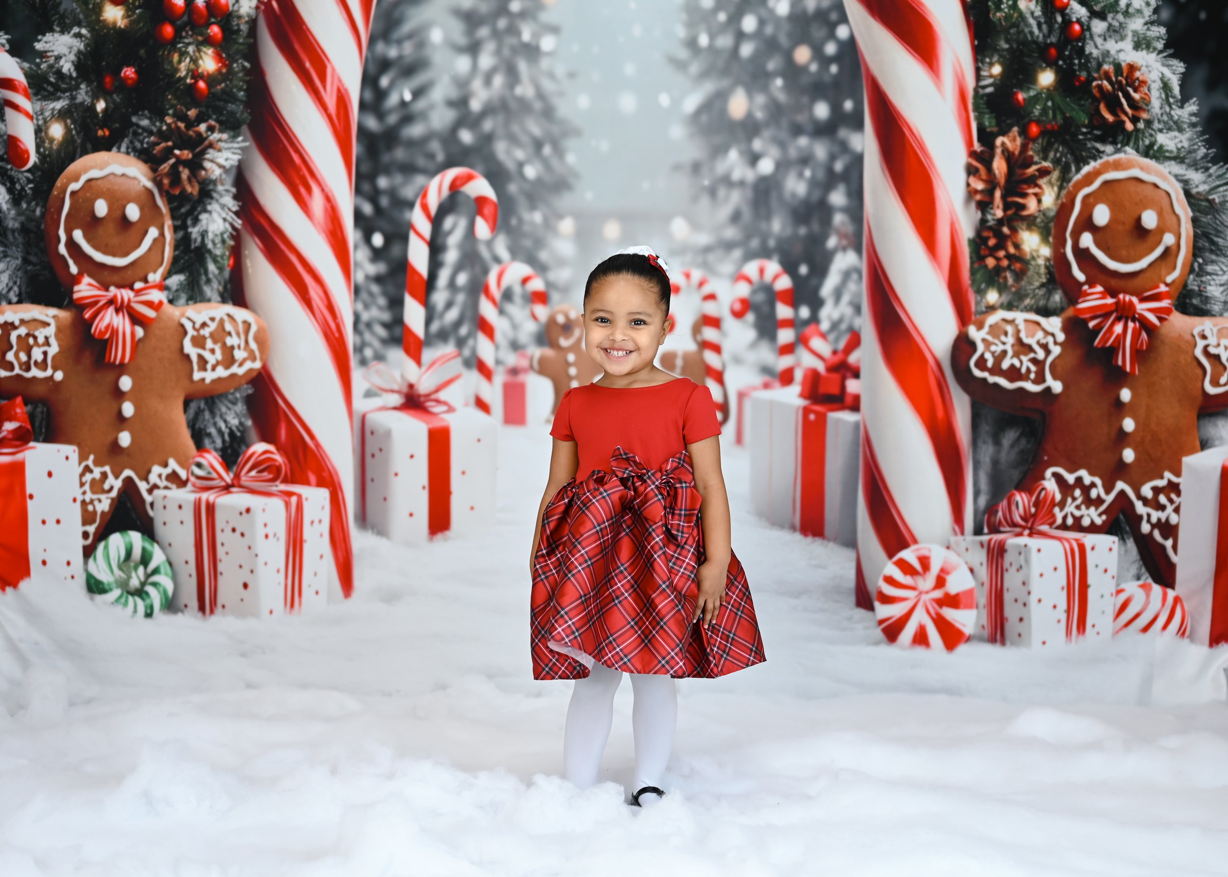 Christmas (Gingerbread)