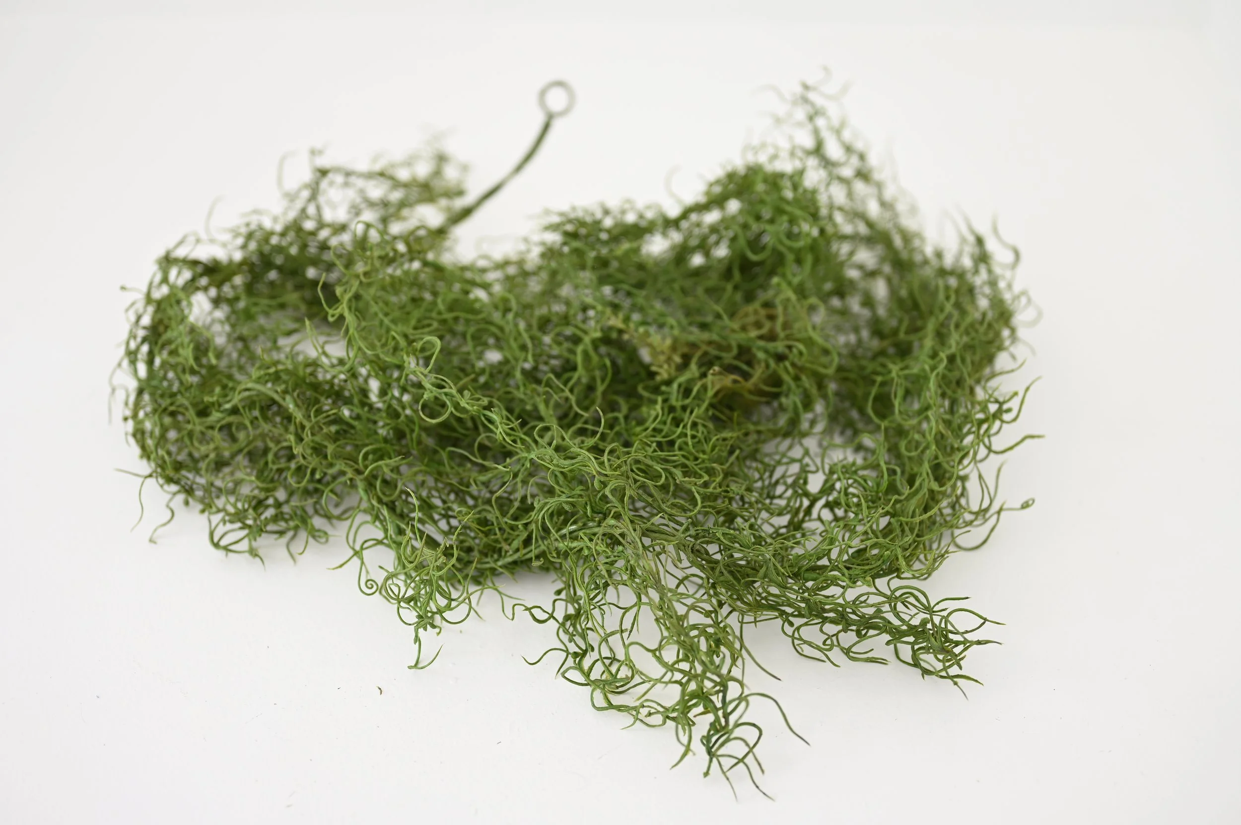 Curly Greenery Filler