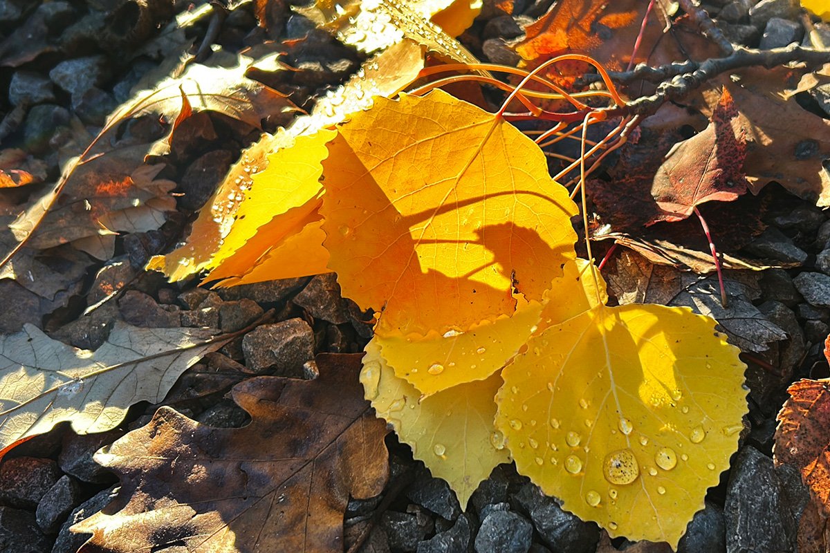 How Do You Stay Positive Through Seasonal Change?&nbsp; 