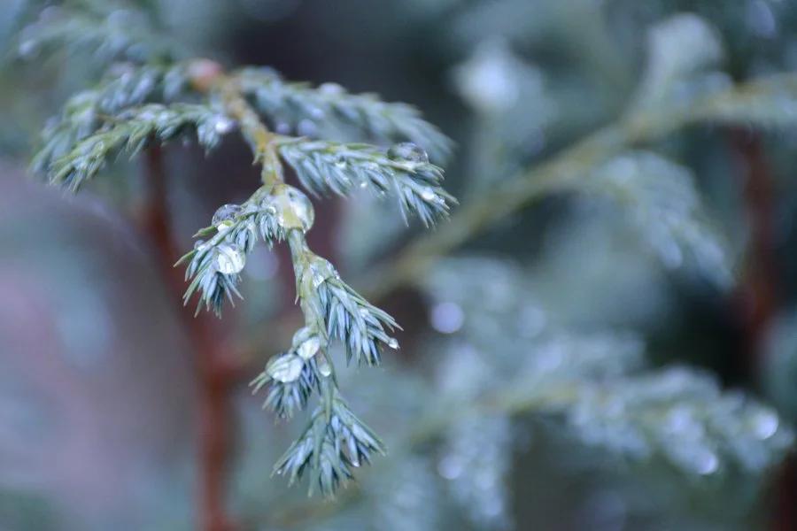 Why Does Slowing Down Feel So Hard?