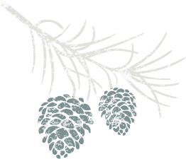 Illustration of a pine branch with three pine cones on a black background