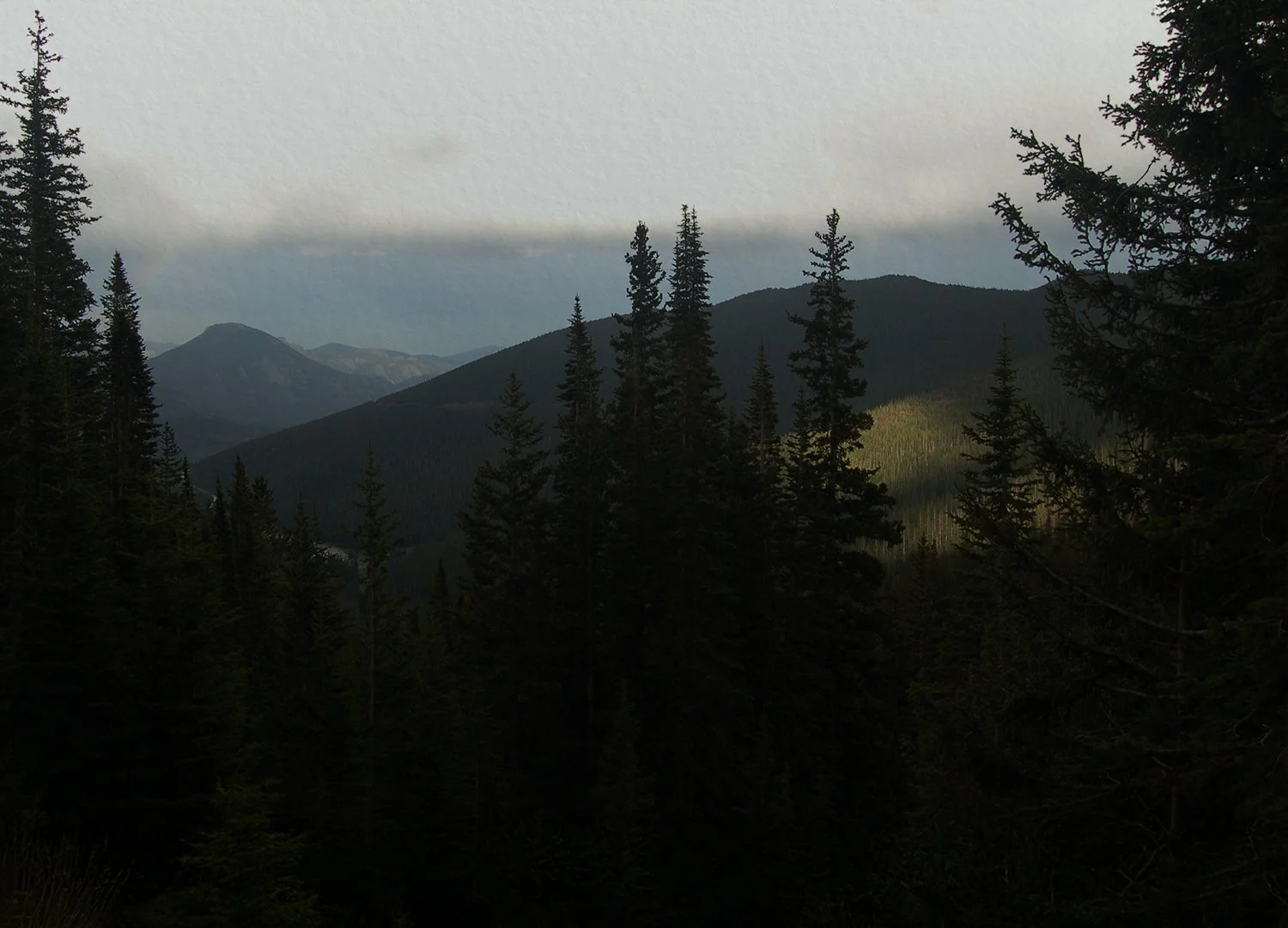 A mountainous landscape with pine trees in the foreground, misty mountains in the background, and a cloudy sky.