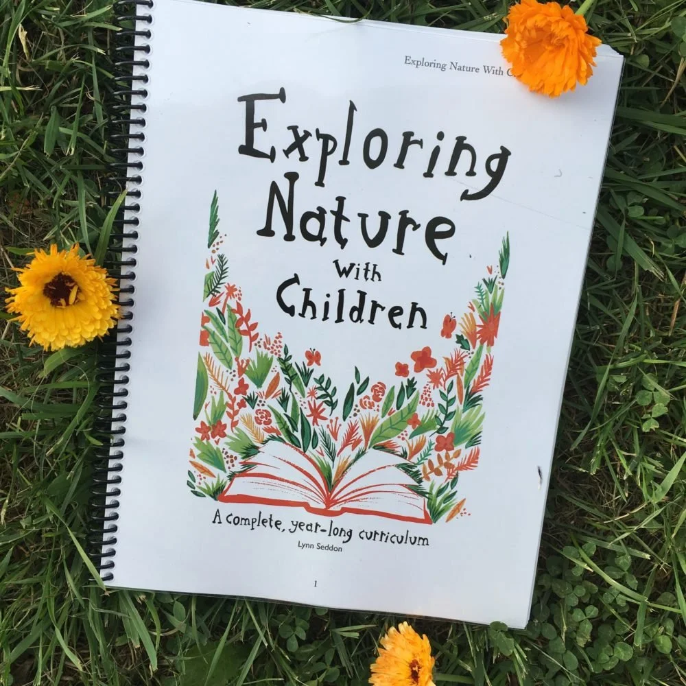 Exploring Nature with Children - The Harvest Moon