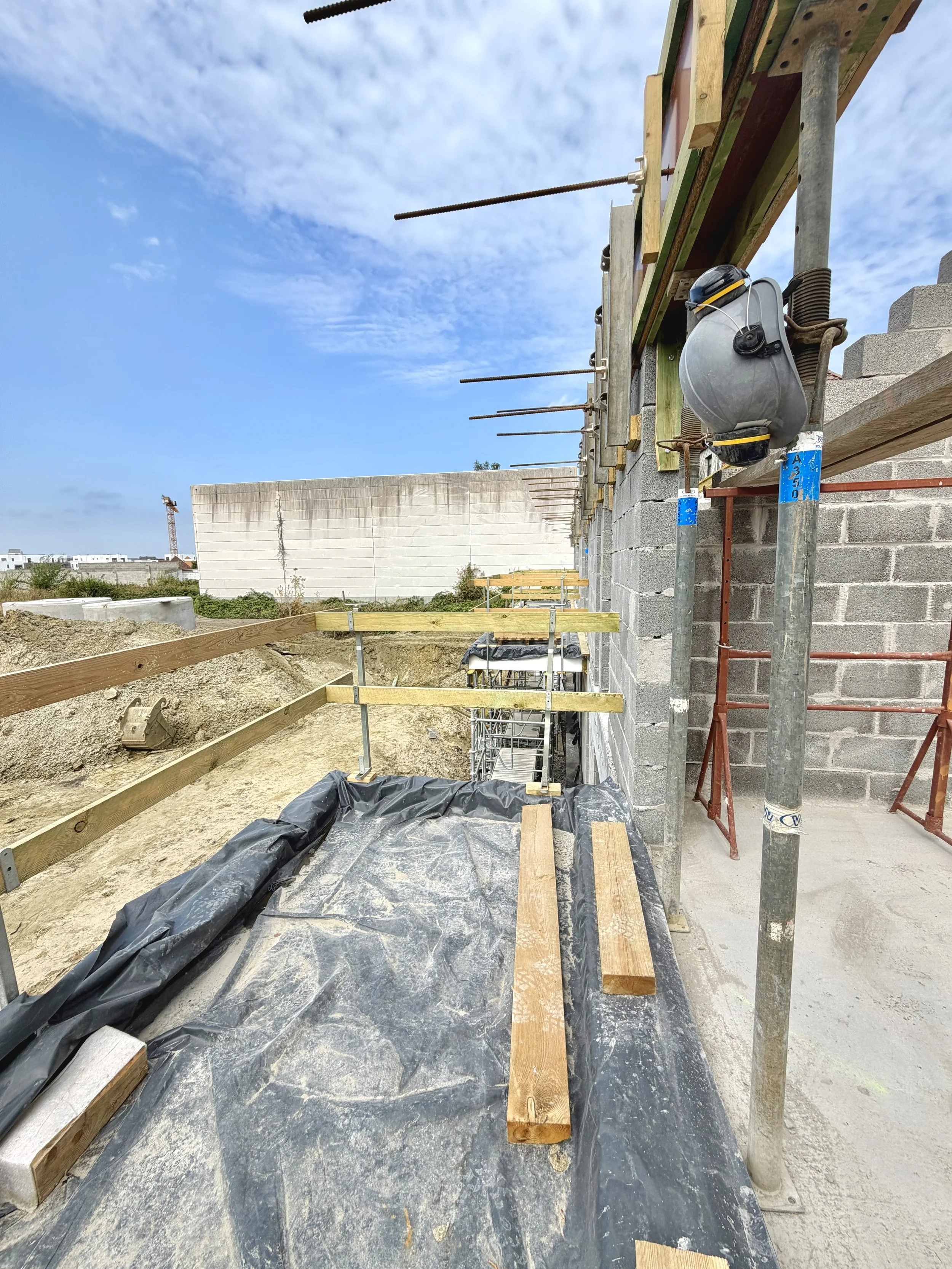 IMG_6368.jpeg