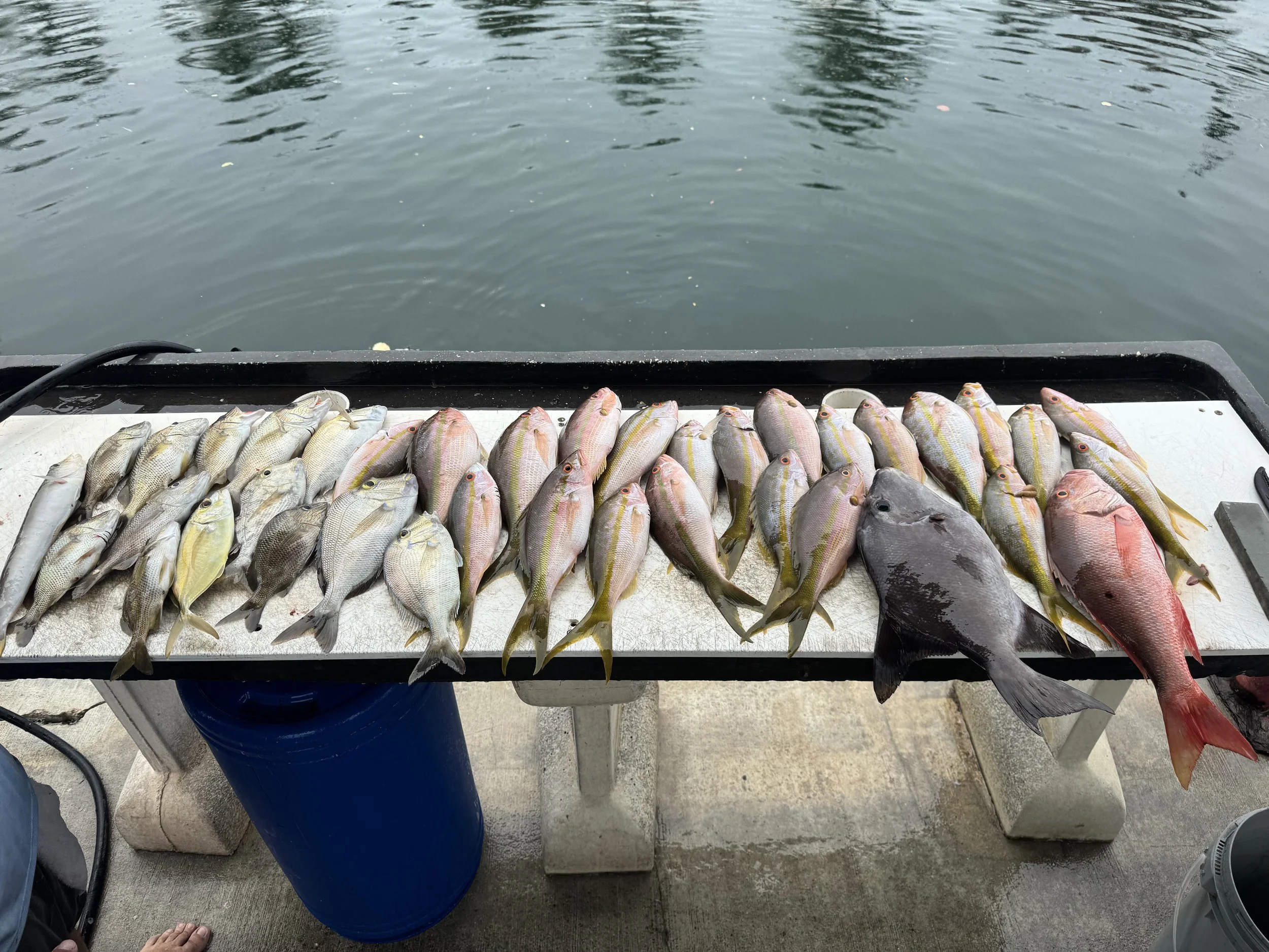 Cold Weather, Hot Moments:                                                  Winter Fishing in the Florida Keys