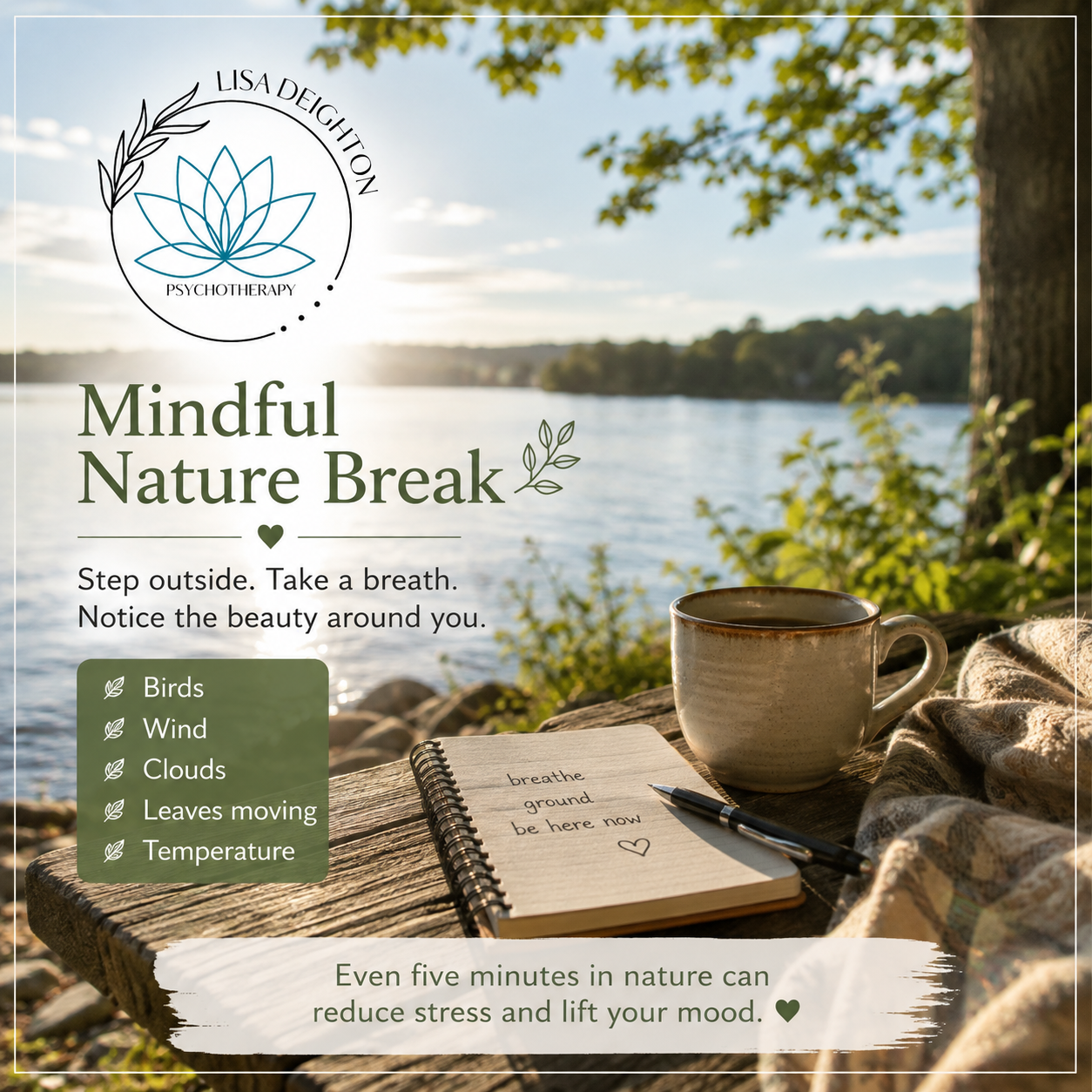 🌿 Mindful Monday: Finding Your Ground in Nature