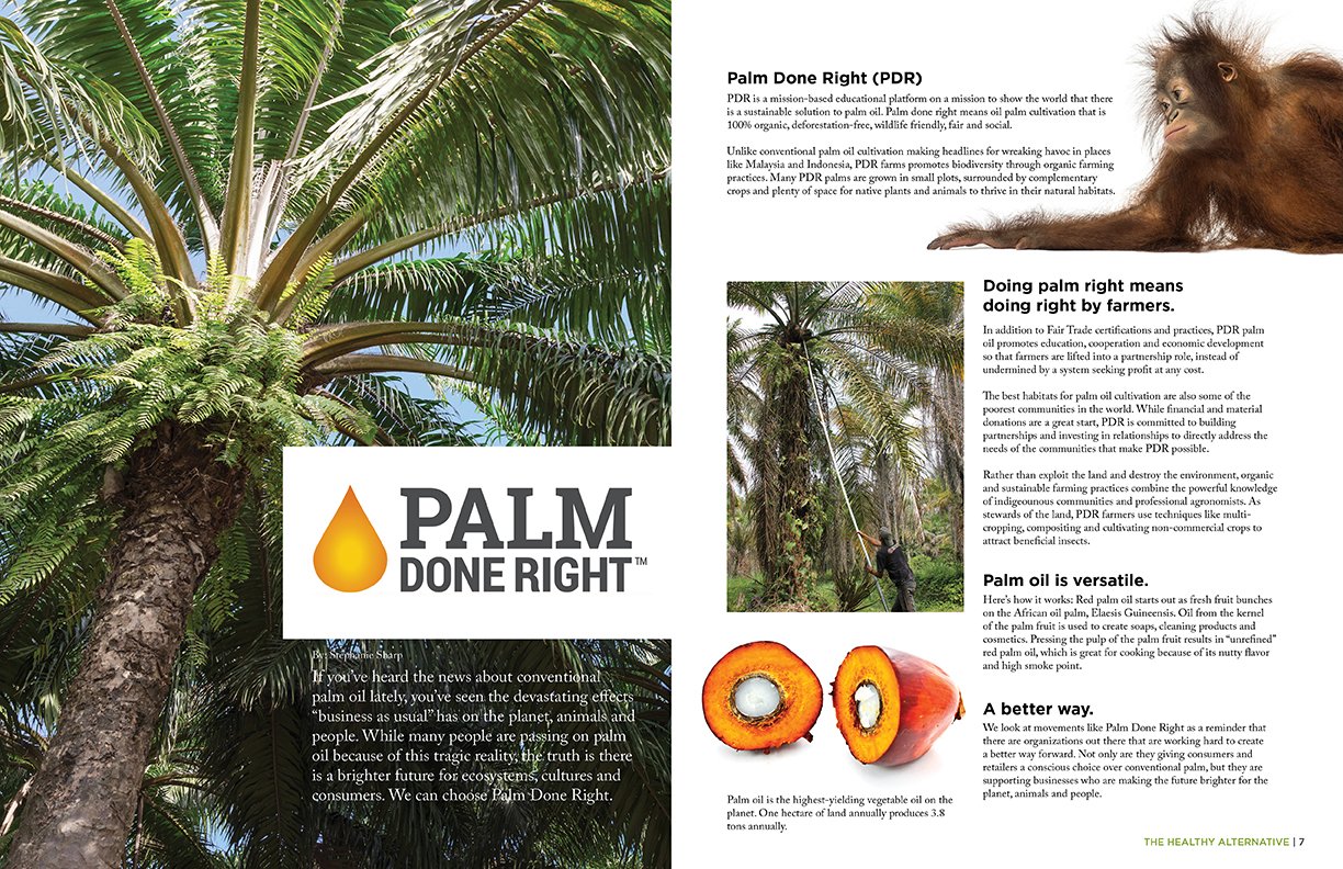 Earth month edition of The Healthy Alternative Palm oil spread, layout, and design.