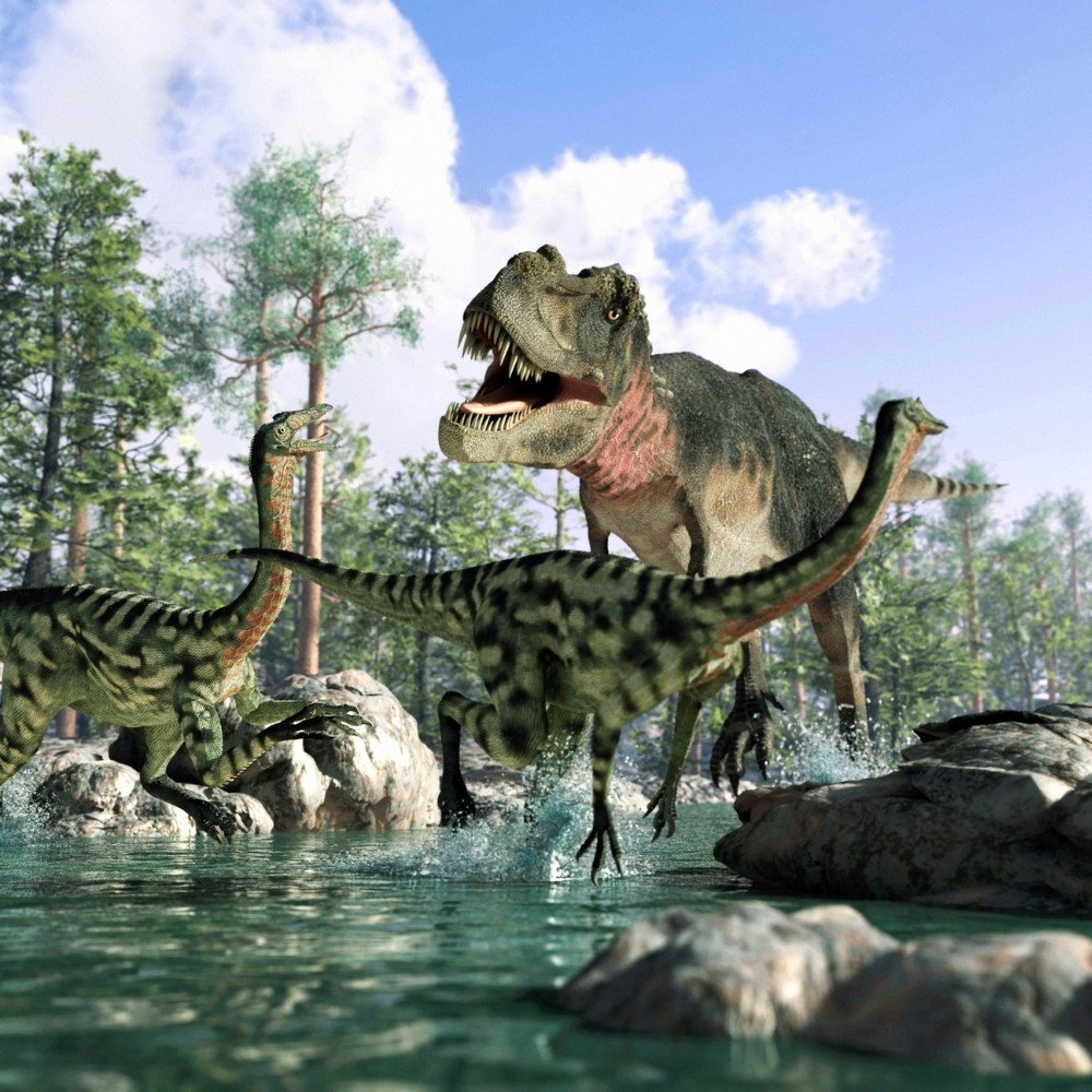 Dinsoaurs Camp.jpg