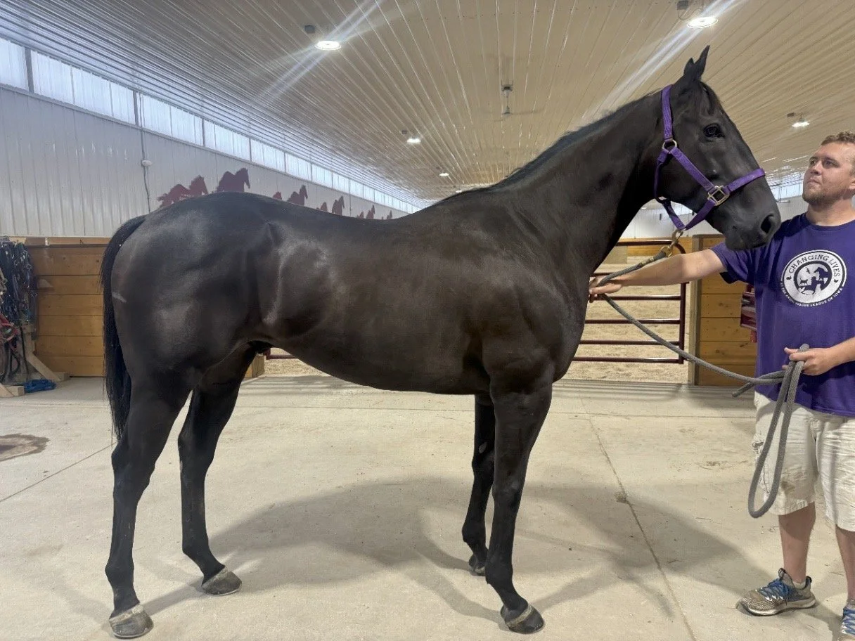 Hurricane J - Sponsor My Care!