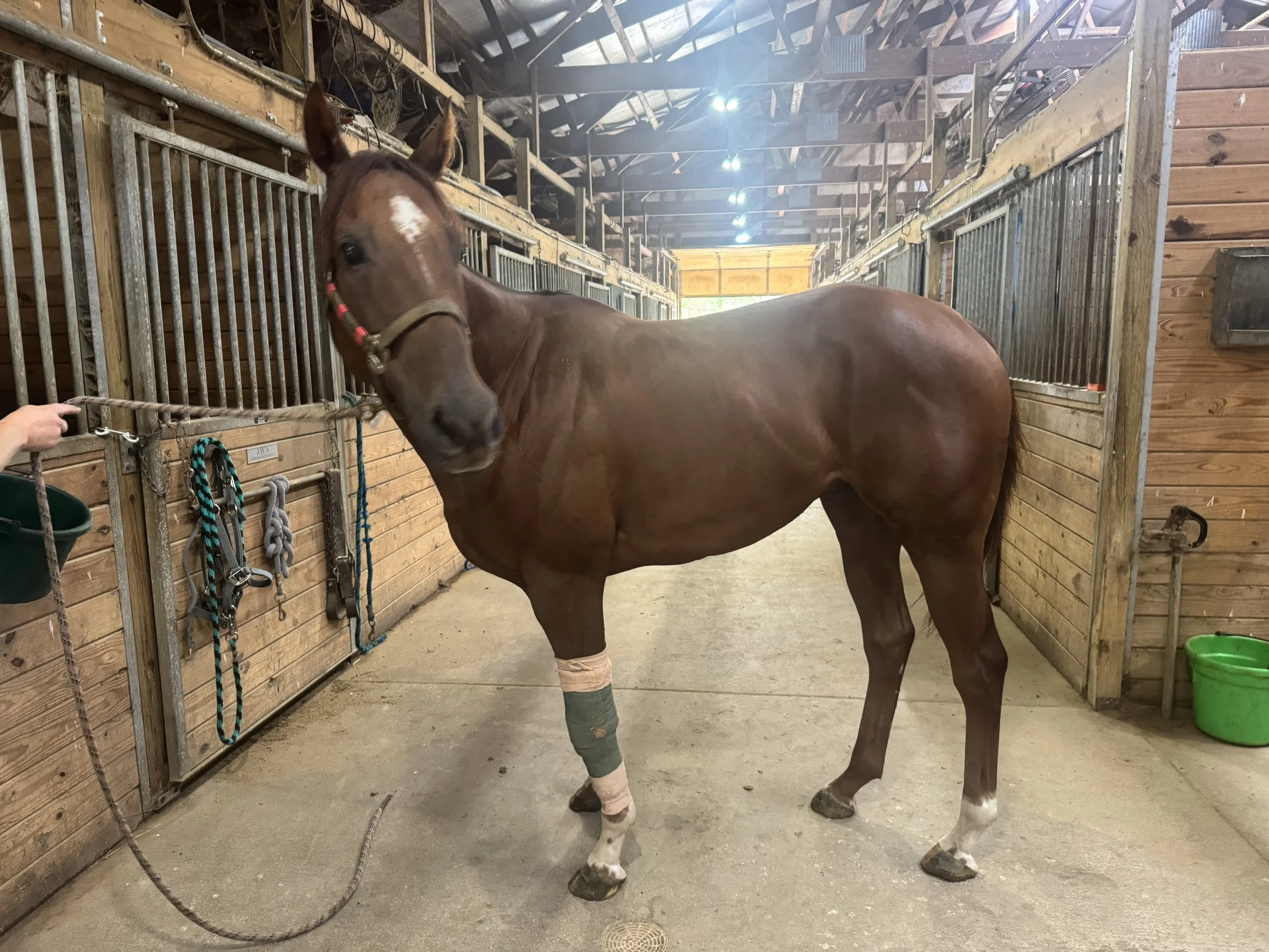 Markson - Sponsor My Care!