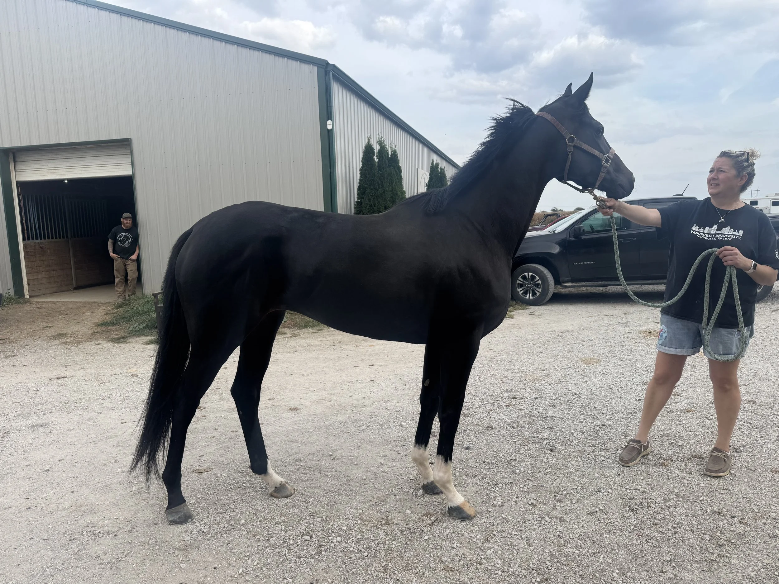 Enchanted Angel - Coming Soon