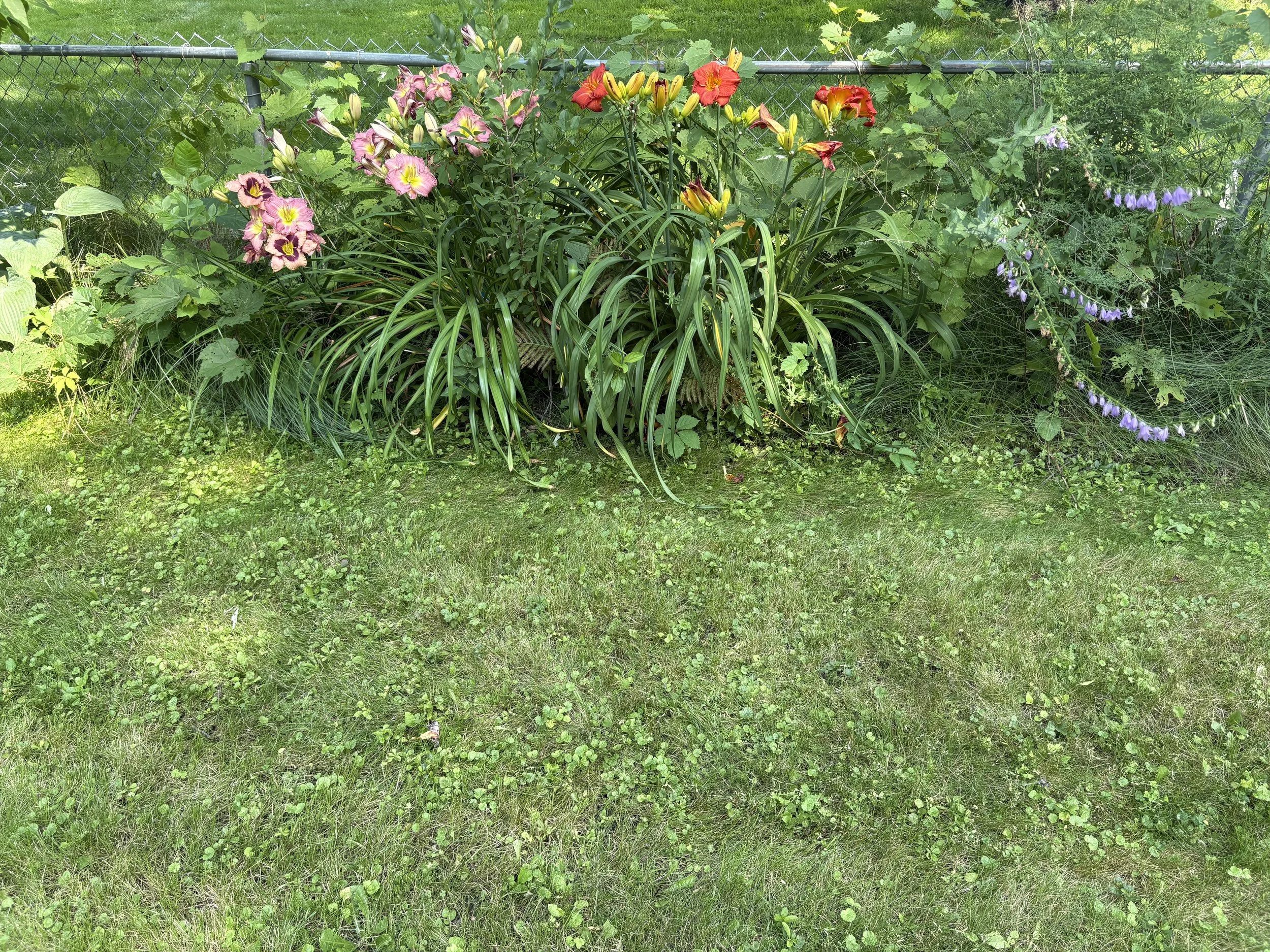 IMG_0749.jpeg