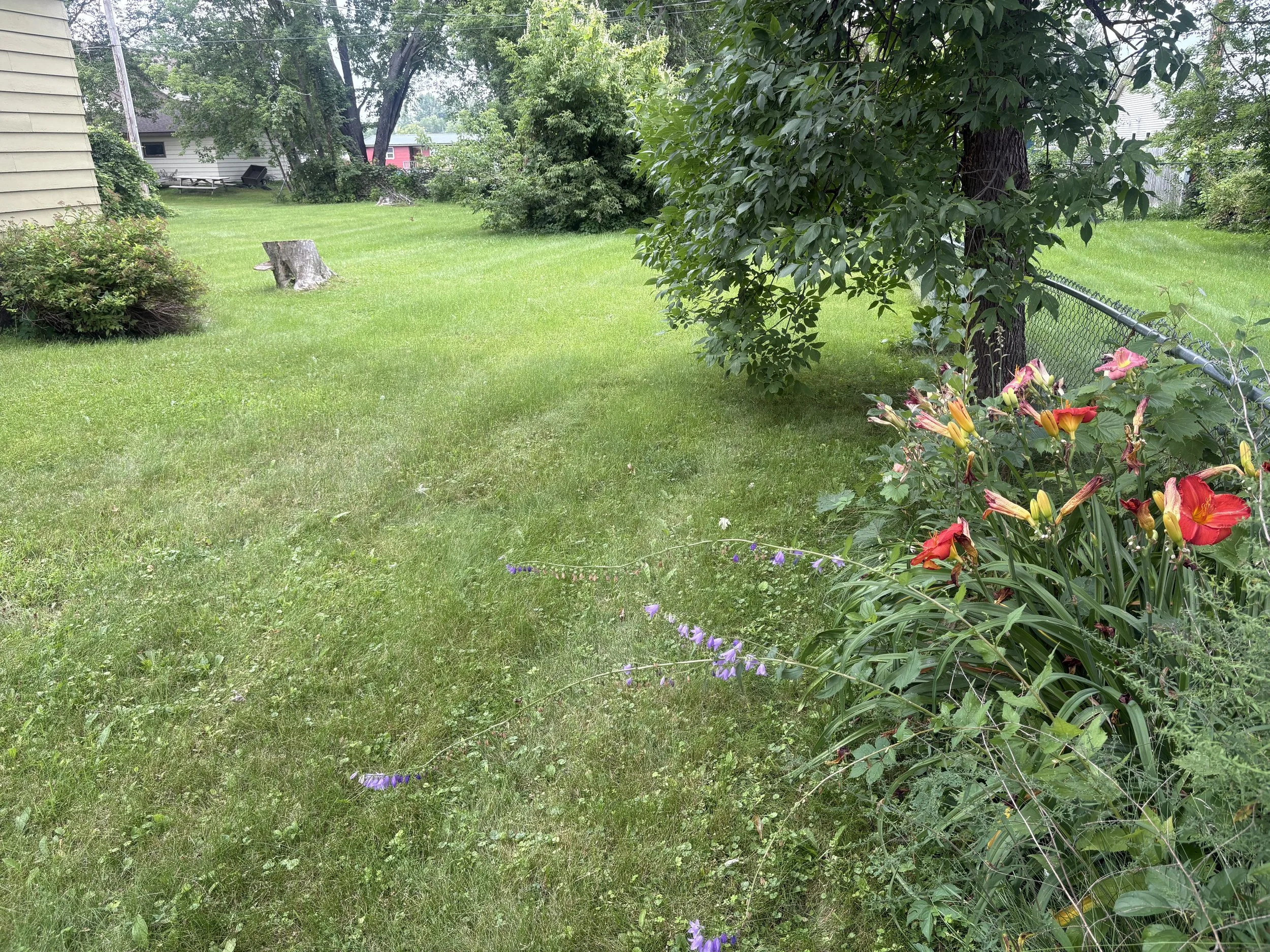 IMG_0947.jpeg