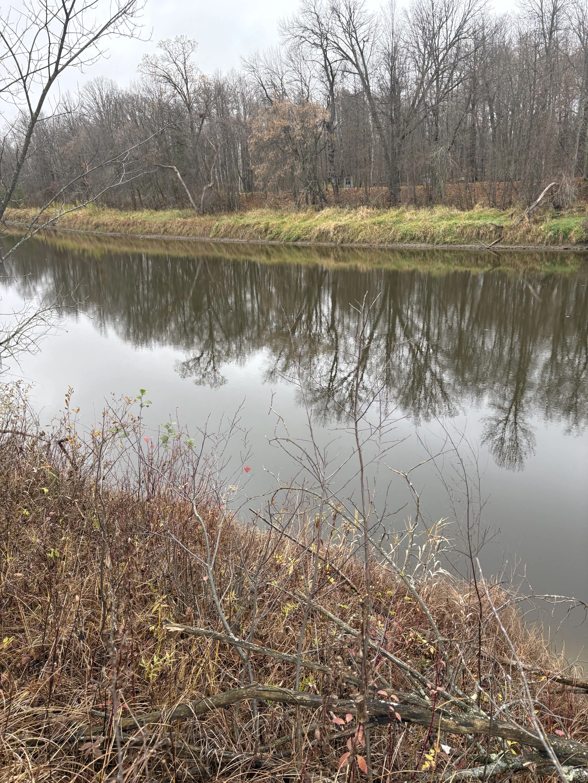 Photo Oct 29 2025, 10 04 29 AM.jpg