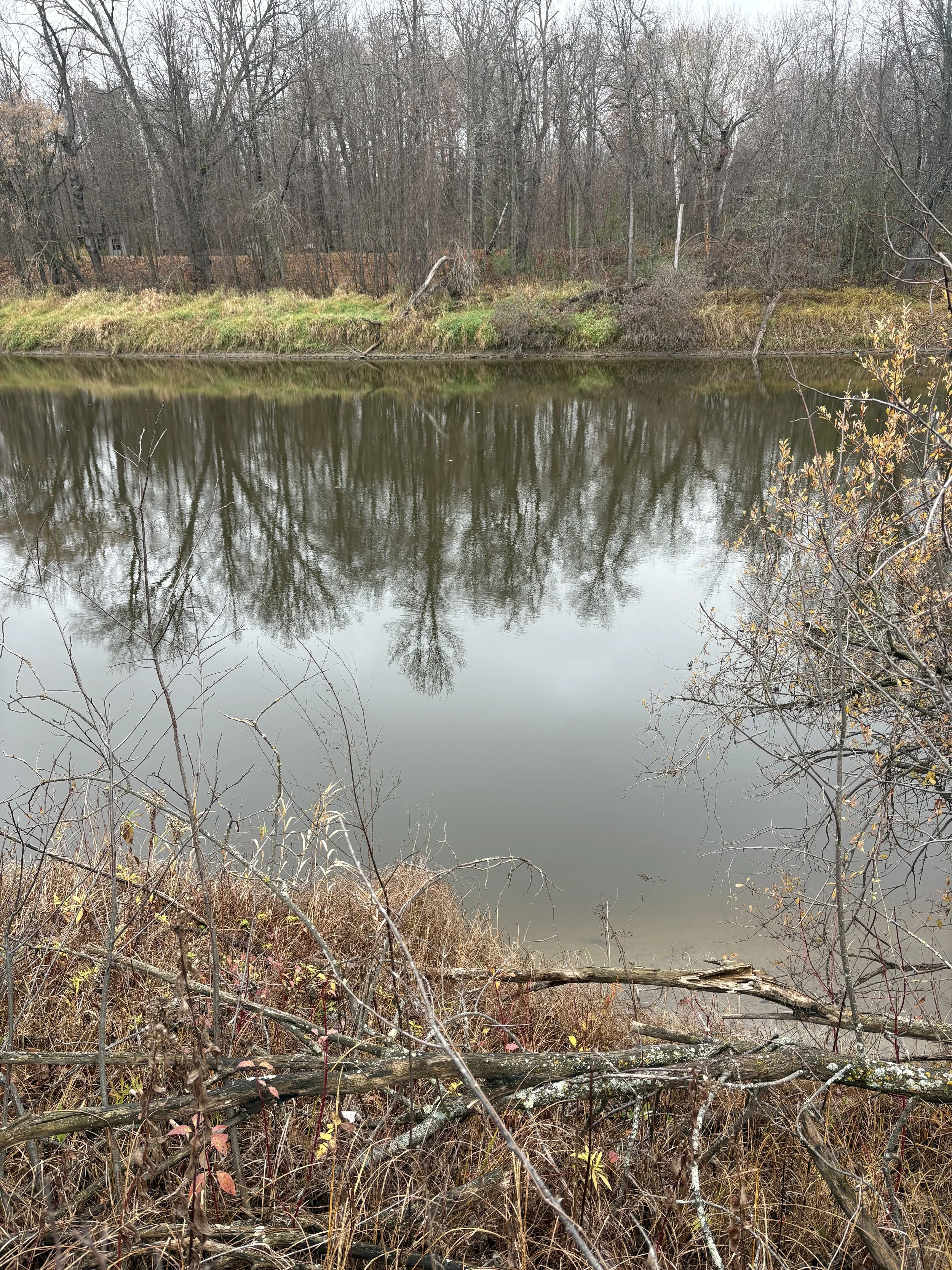 Photo Oct 29 2025, 10 04 32 AM.jpg