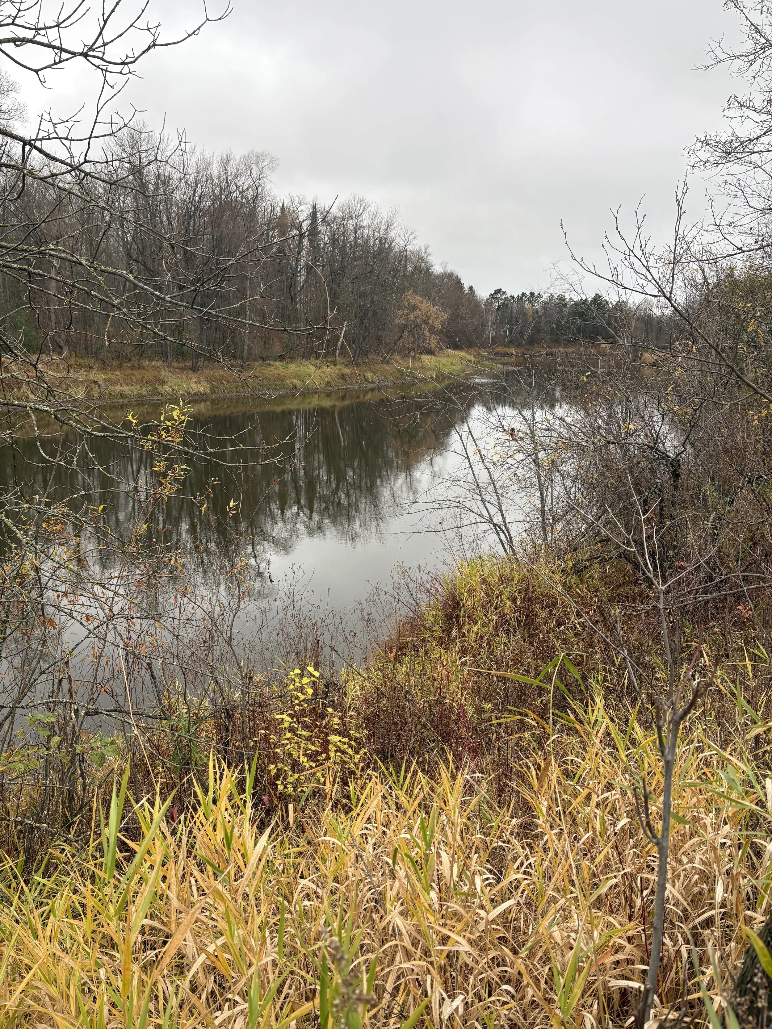 Photo Oct 29 2025, 10 04 47 AM.jpg