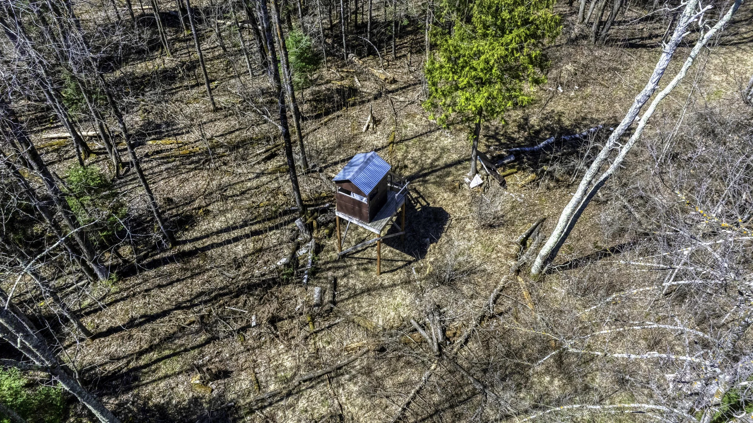 DJI_20260416112644_0121_D.jpg