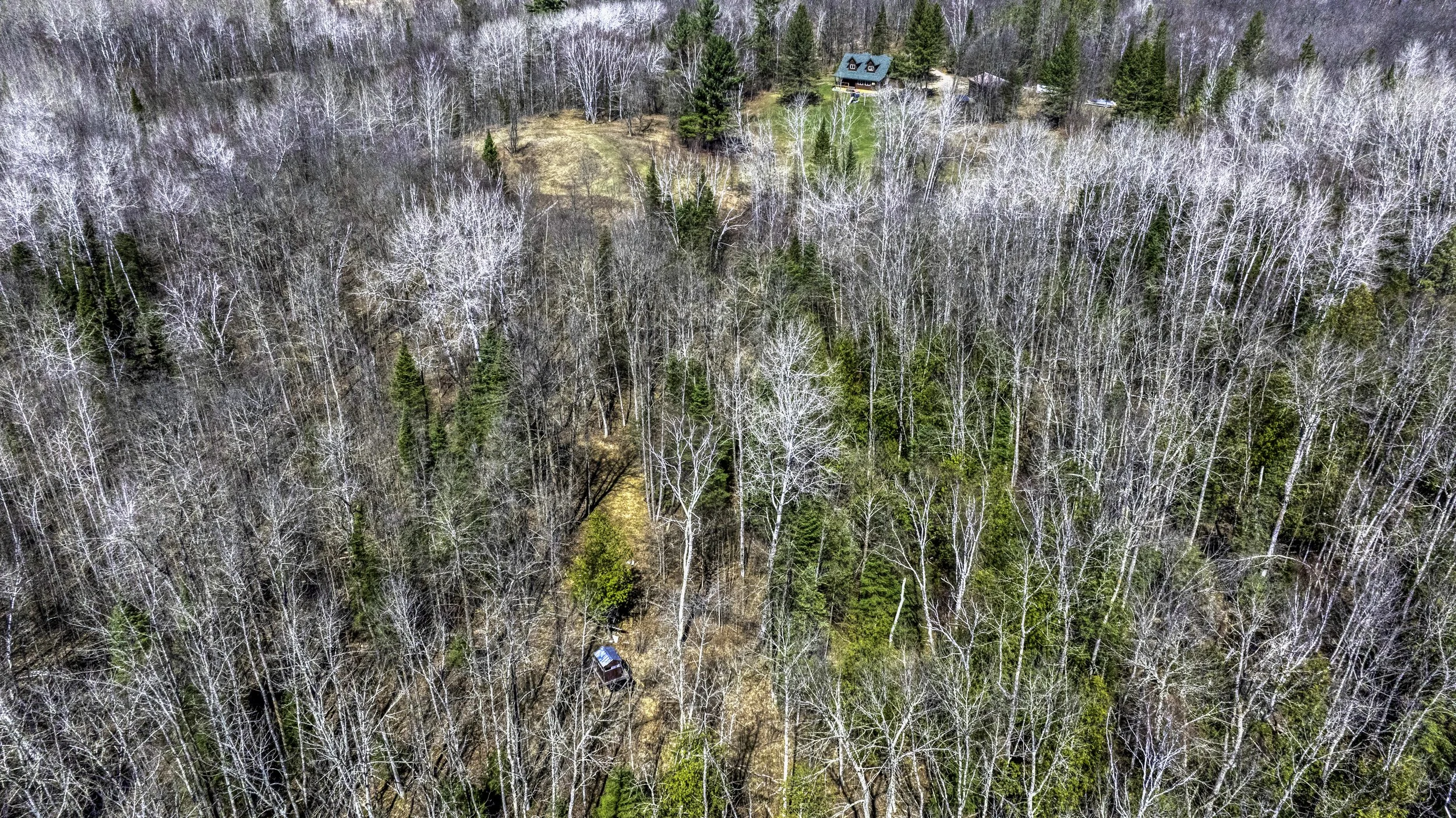 DJI_20260416112555_0117_D.jpg