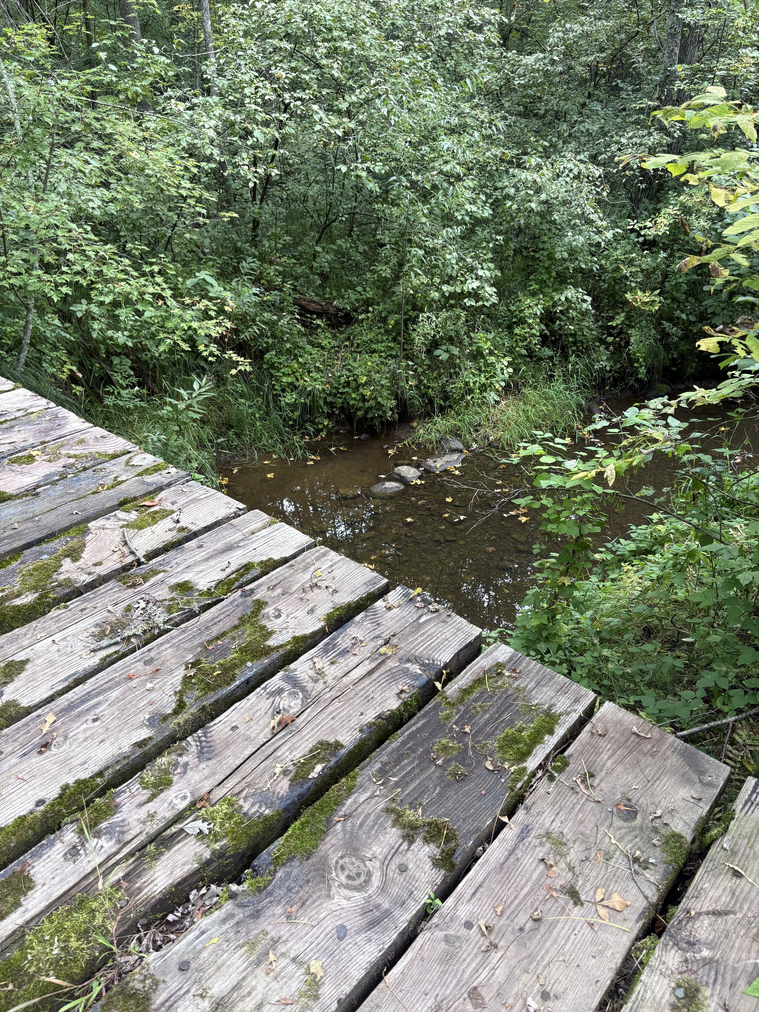 IMG_5264.jpeg