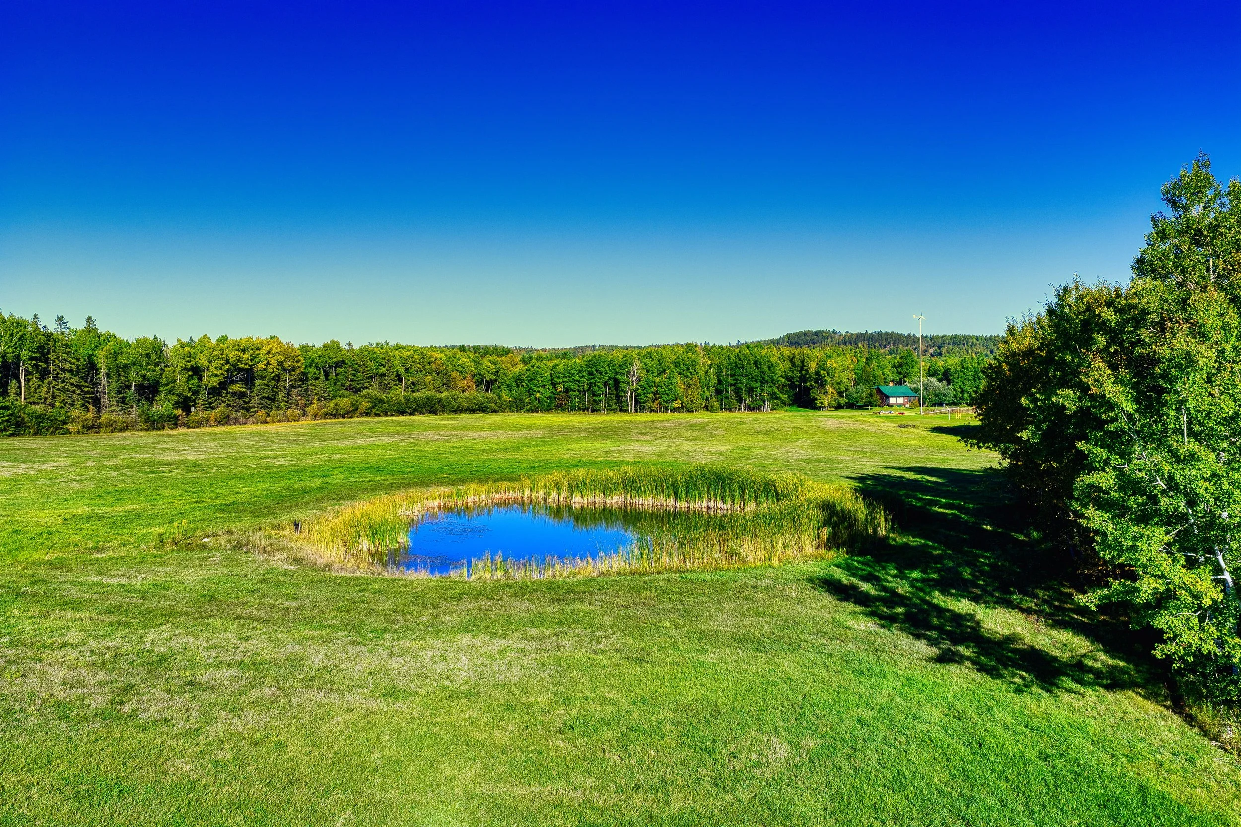 DJI_20260925161656_0032_D_HDR.jpg