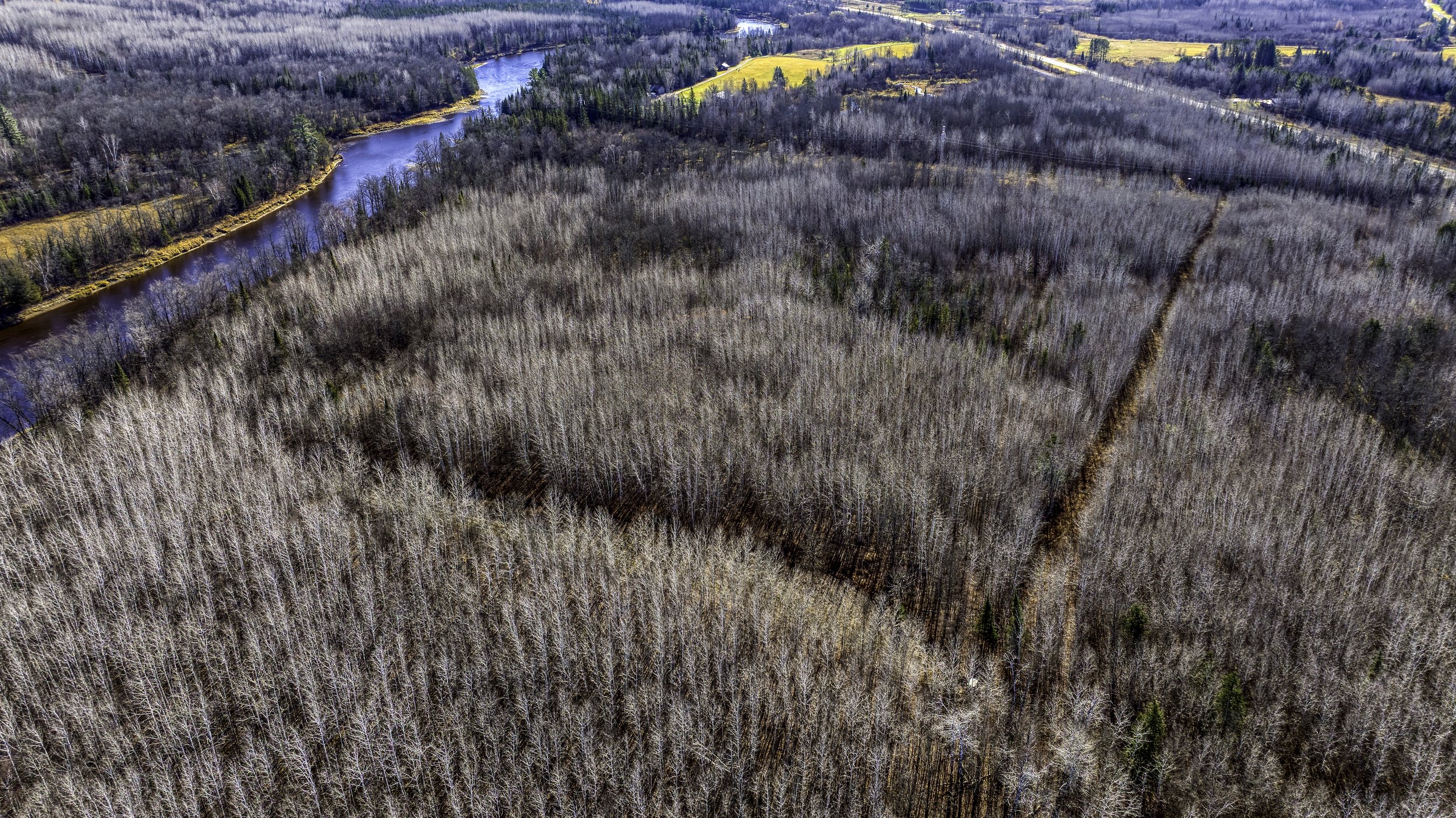 DJI_20251103110555_0610_D.jpg