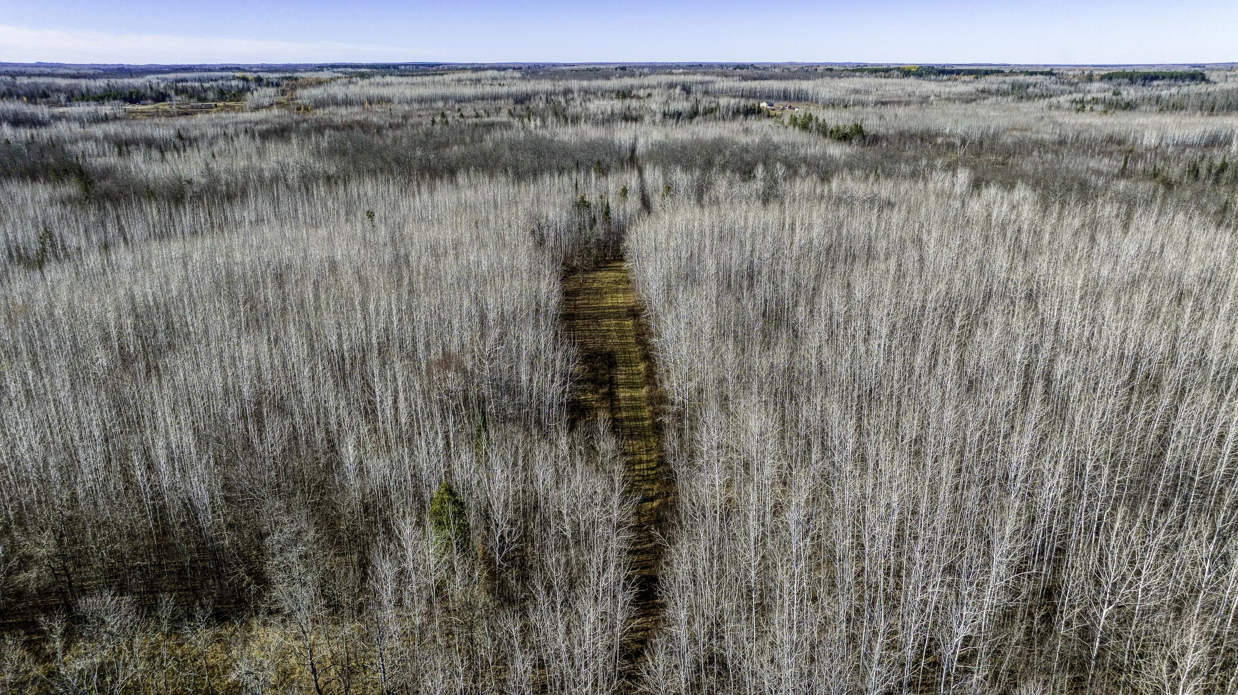 DJI_20251103110856_0636_D.jpg