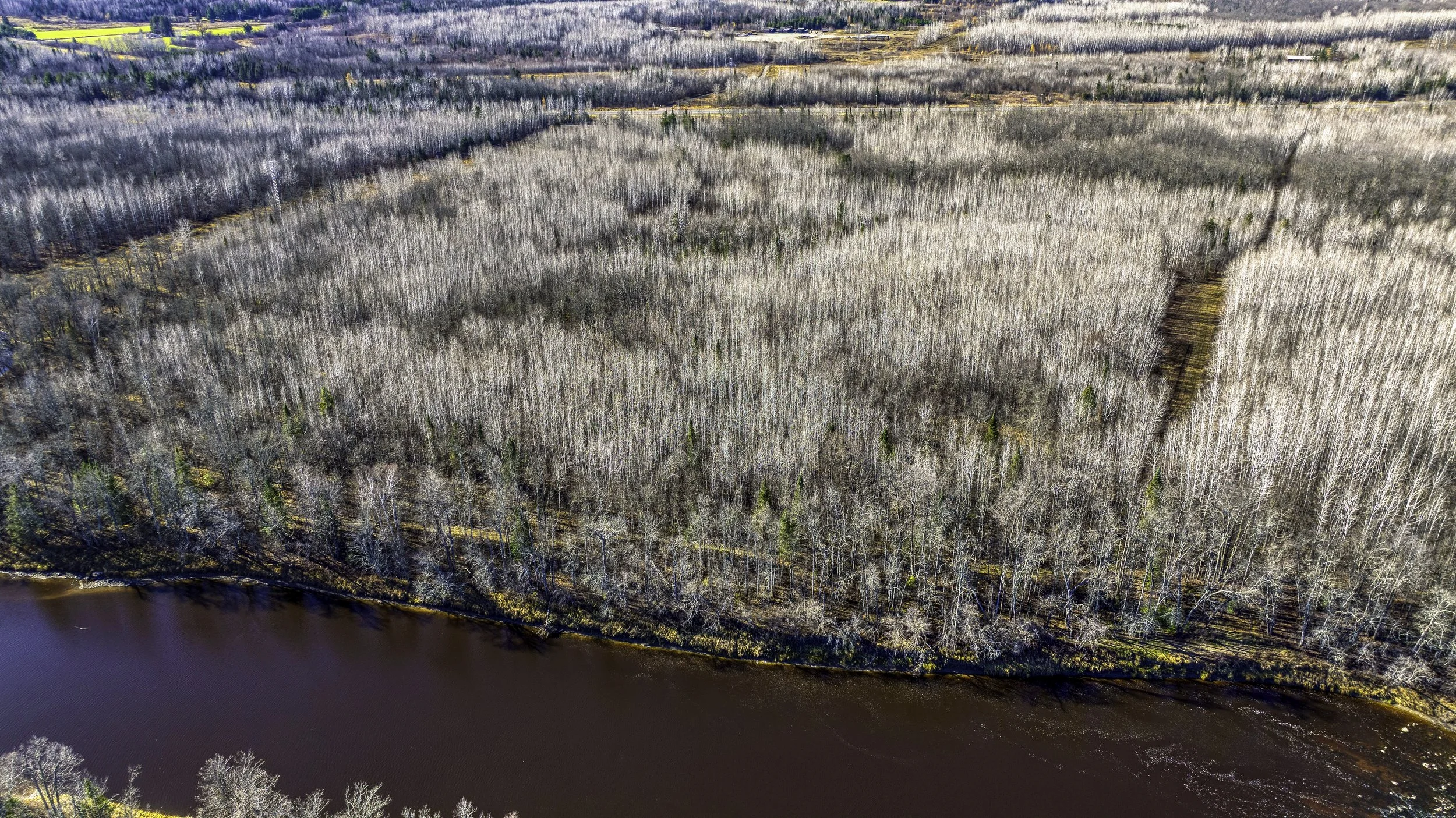 DJI_20251103110952_0645_D.jpg