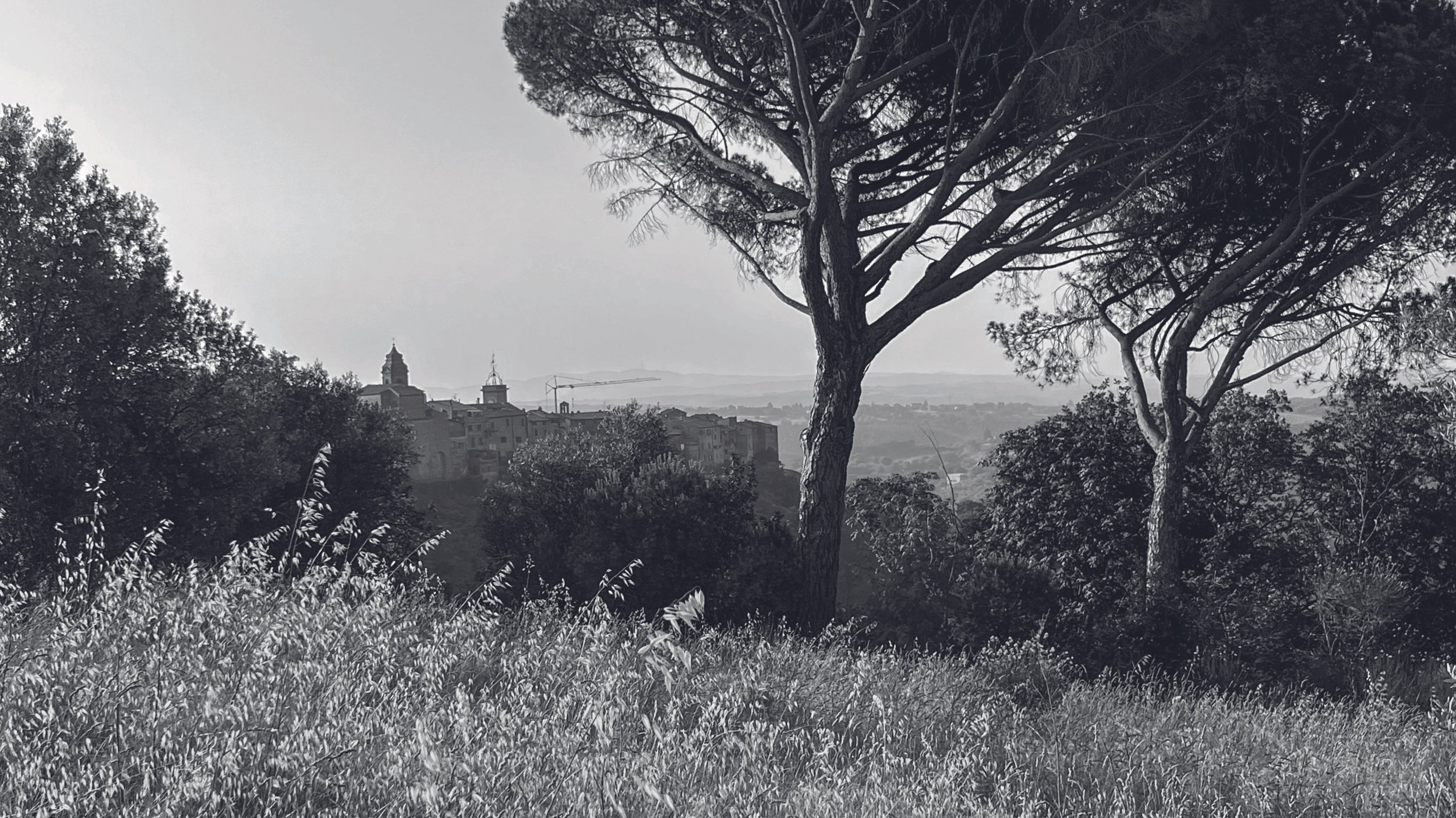 Umbrian estate