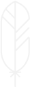 Group 2362.png